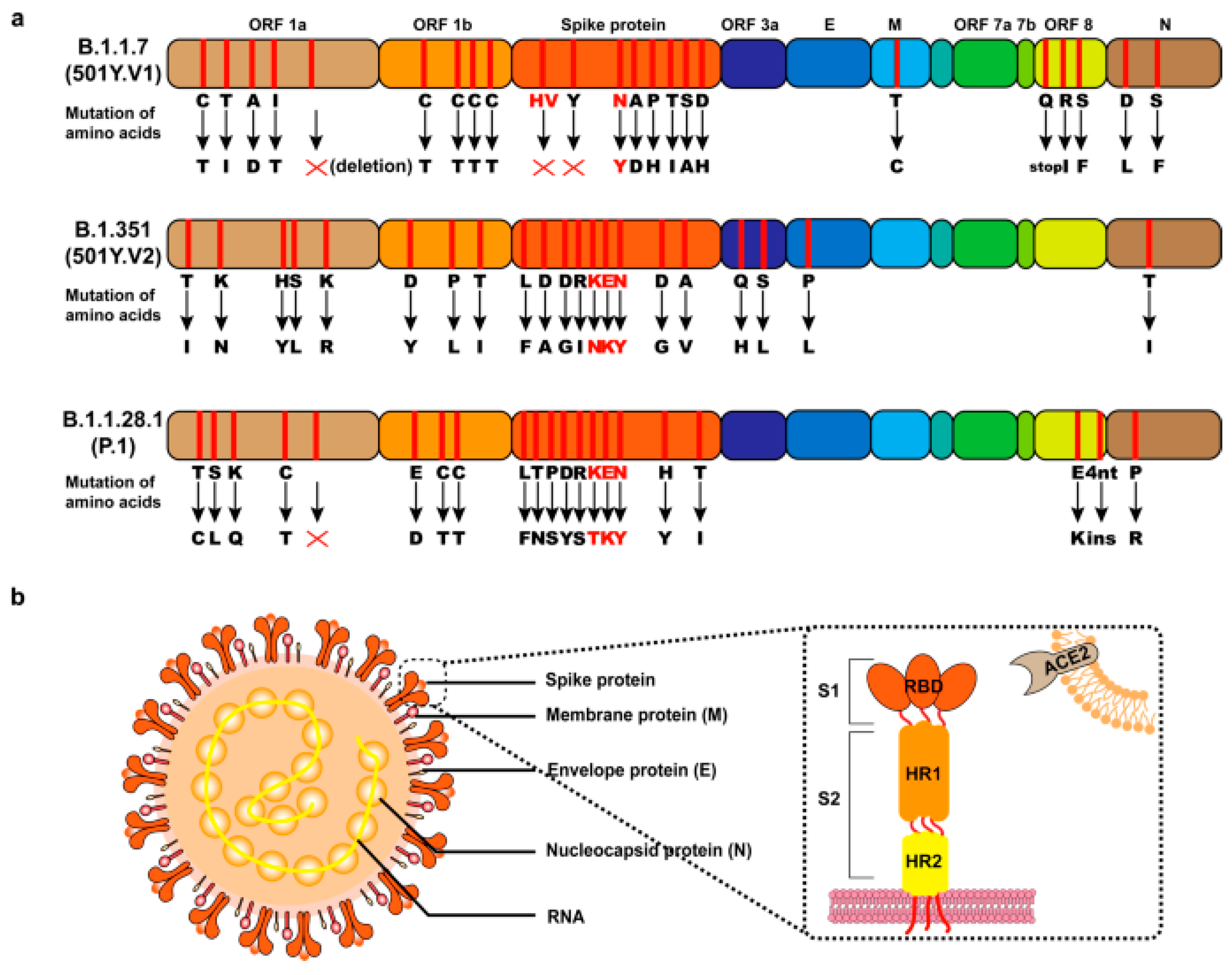 Biomedinformatics 04 00022 g003