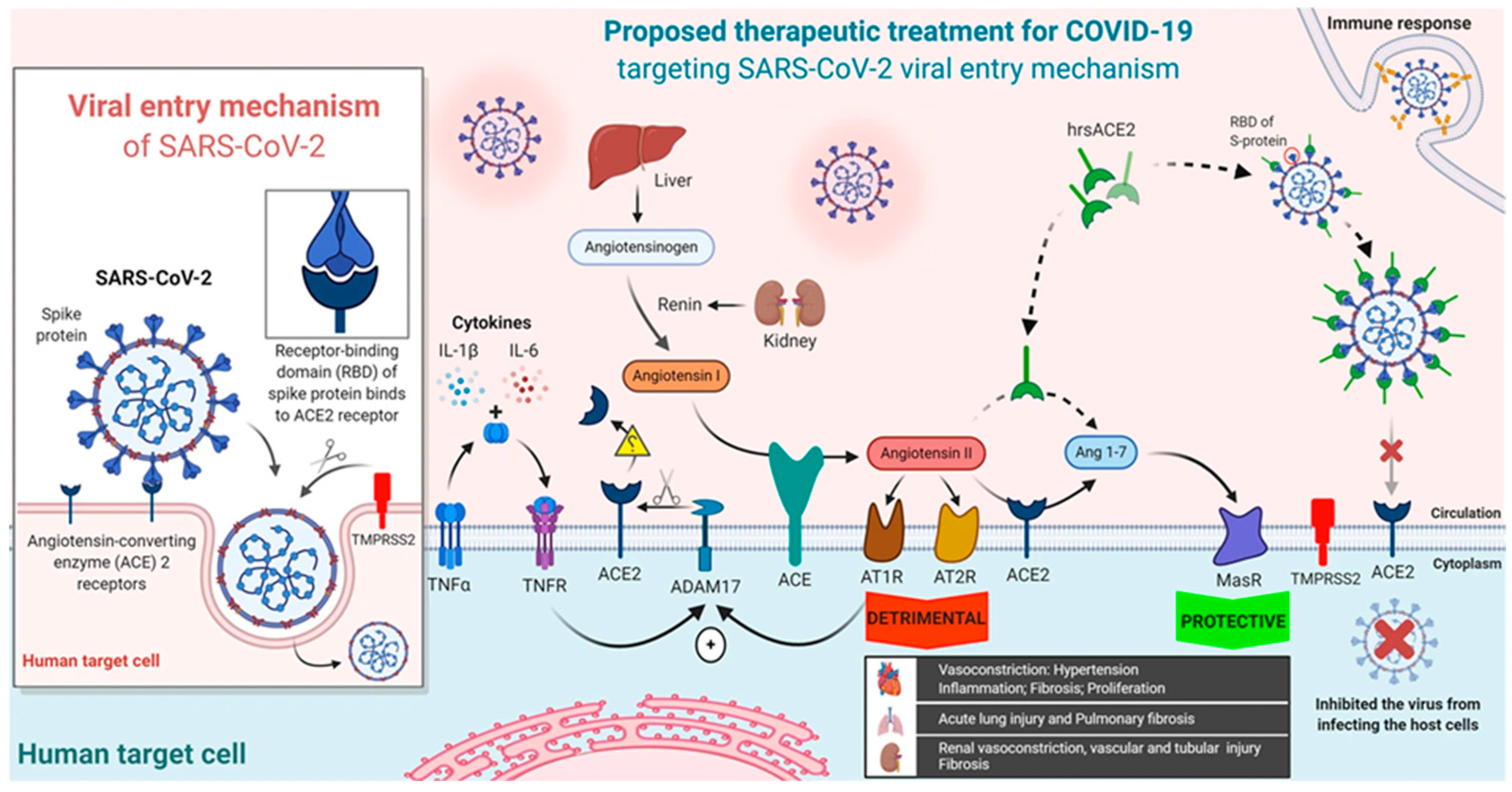 Biomedinformatics 04 00022 g005
