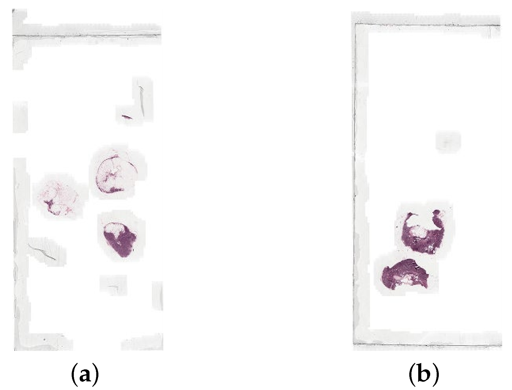 Biomedinformatics 04 00028 g004