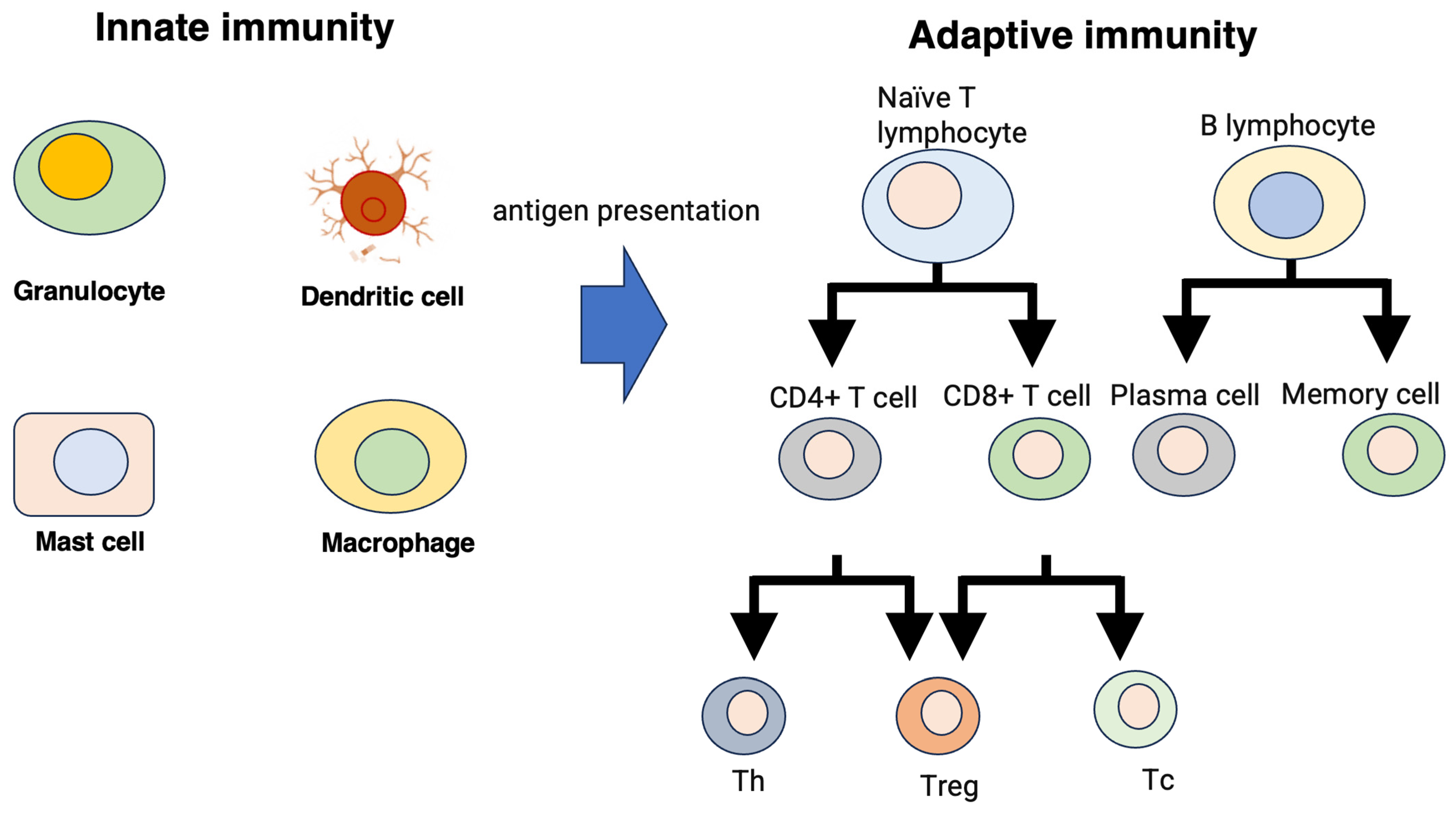 Biomedinformatics 04 00032 g002 Biomedinformatics 04 00032 g002