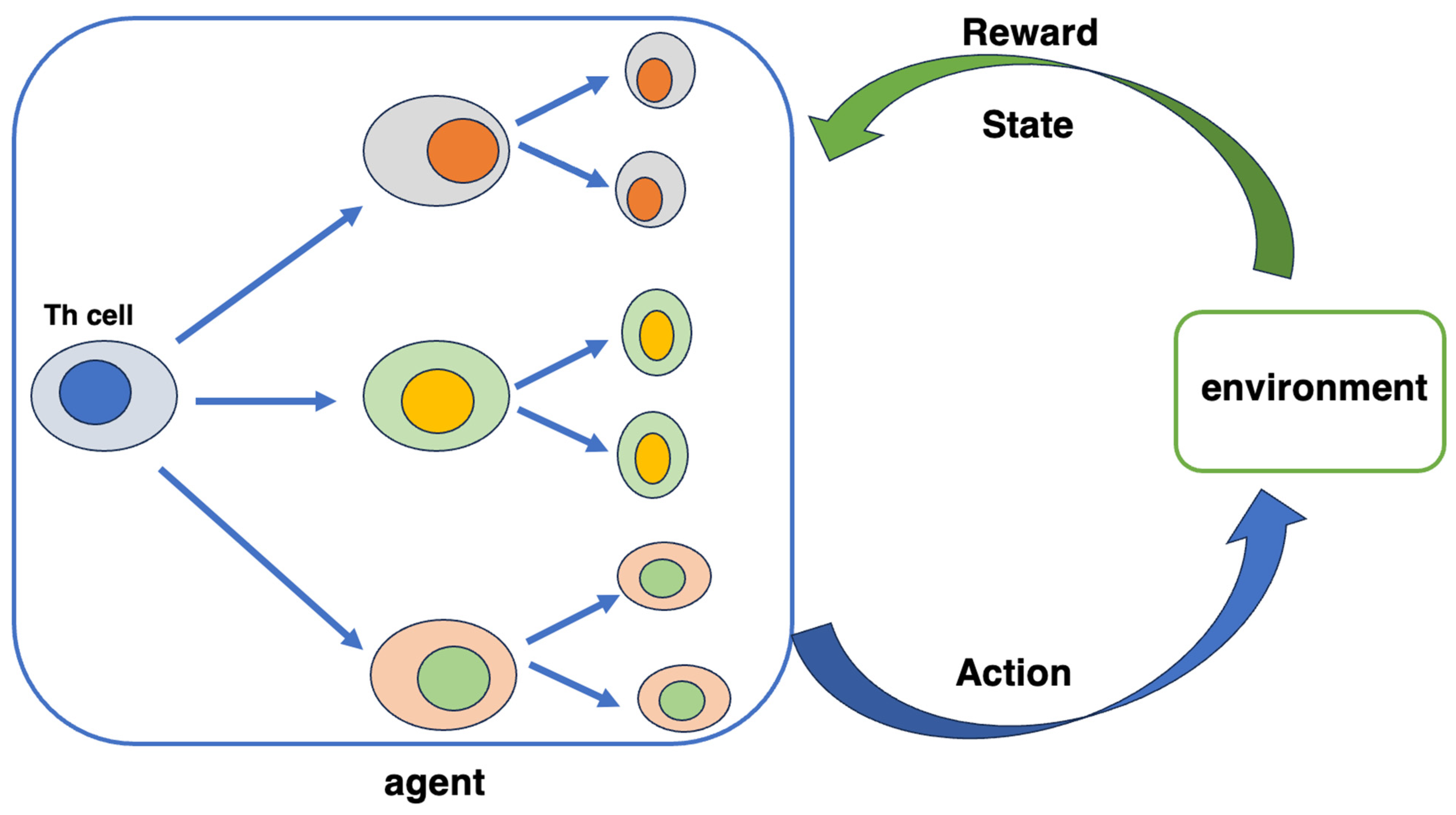 Biomedinformatics 04 00032 g007 Biomedinformatics 04 00032 g007
