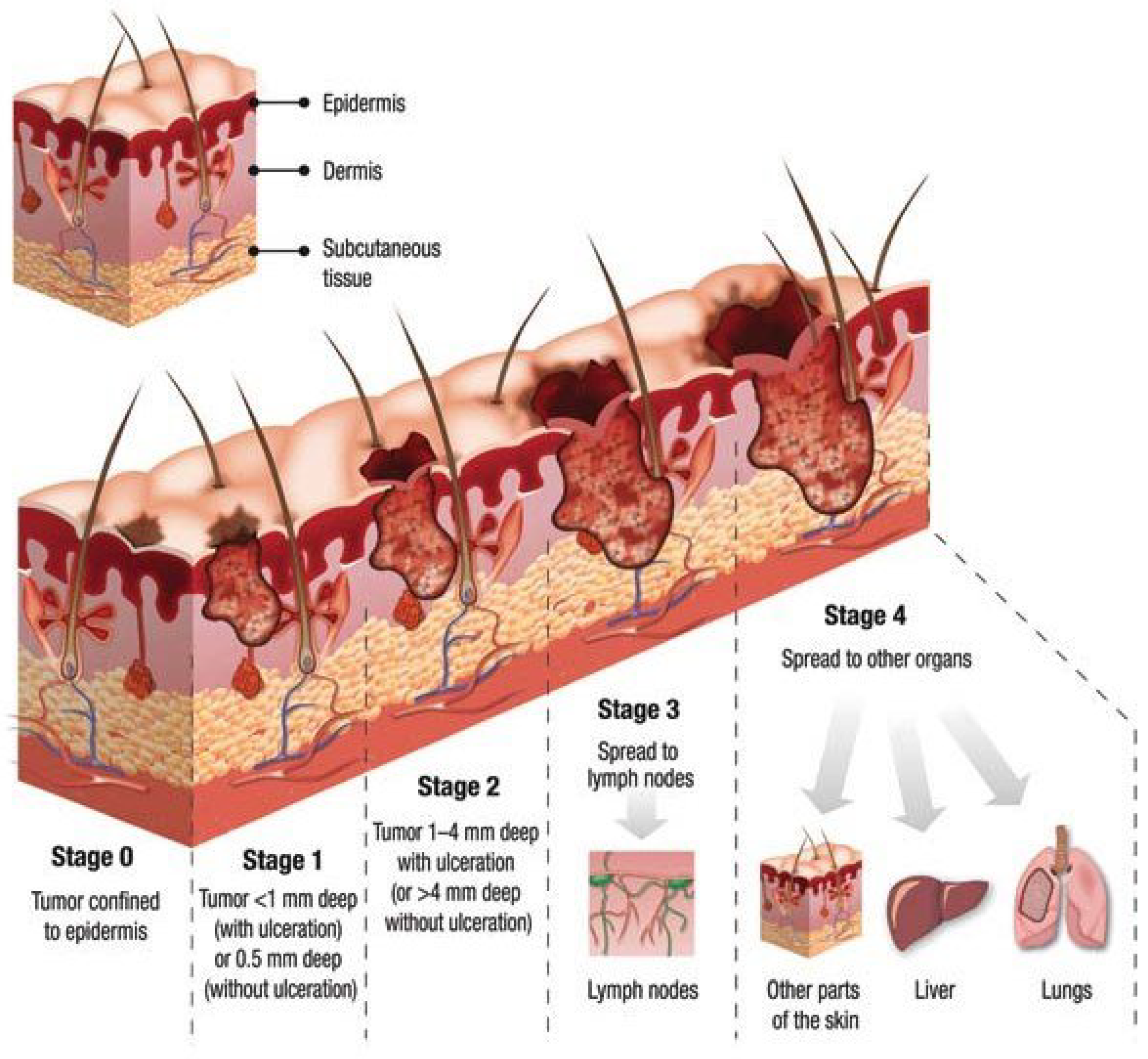 Biomedinformatics 04 00035 g001