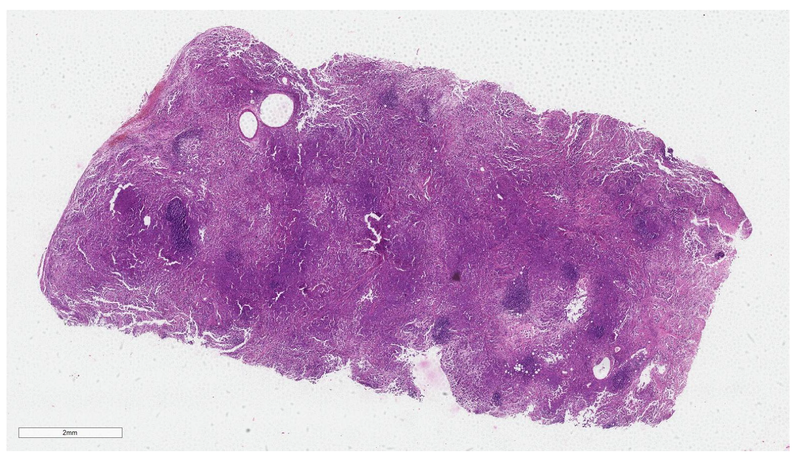 Biomedinformatics 04 00046 g001