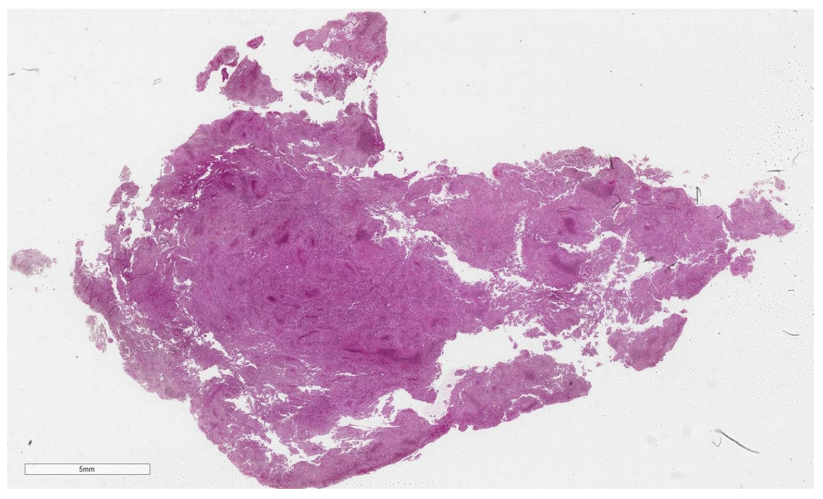 Biomedinformatics 04 00046 g002