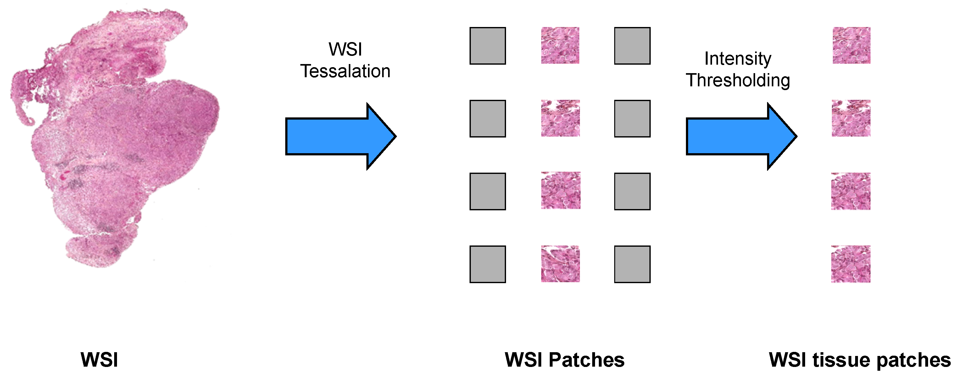 Biomedinformatics 04 00046 g003