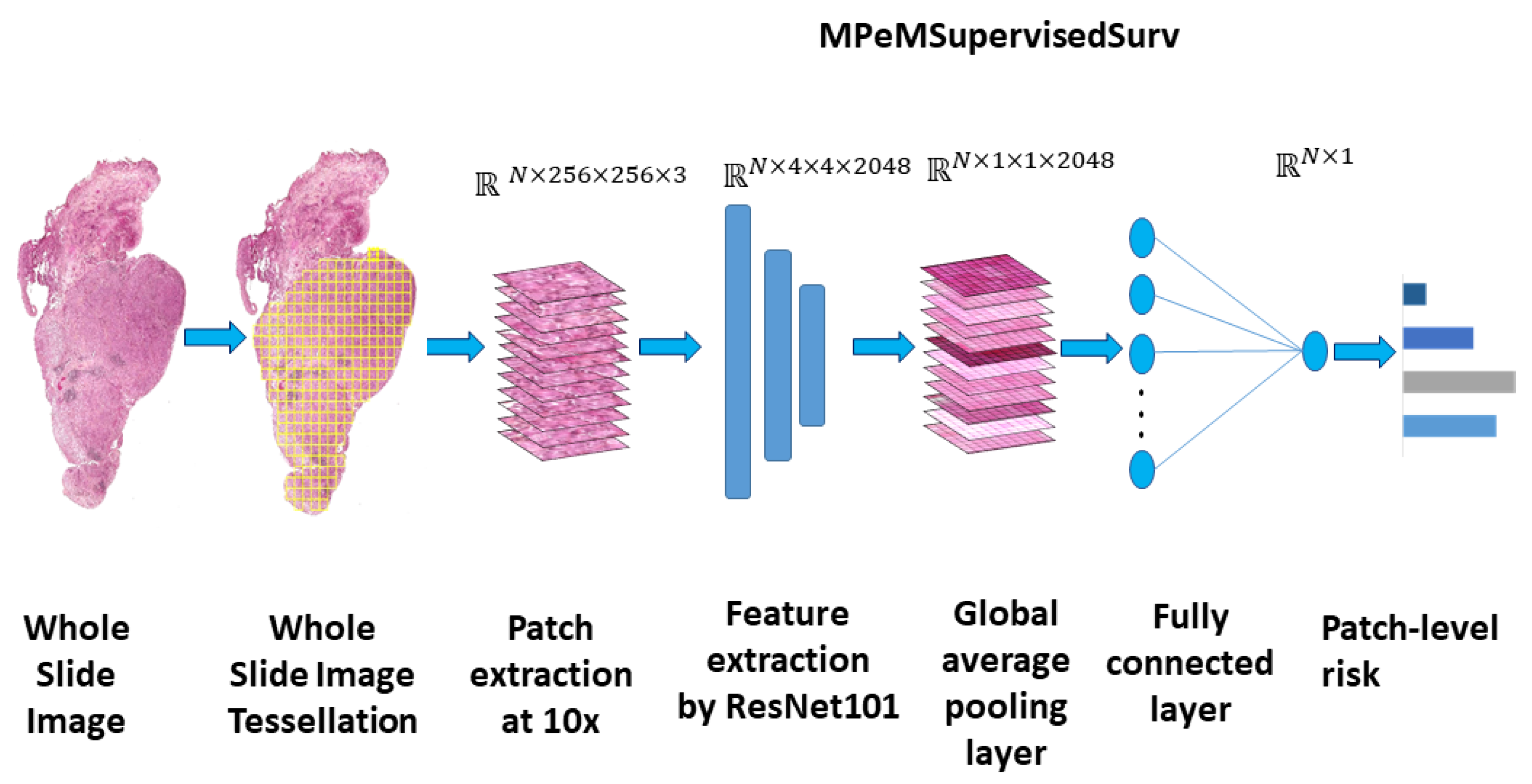 Biomedinformatics 04 00046 g004