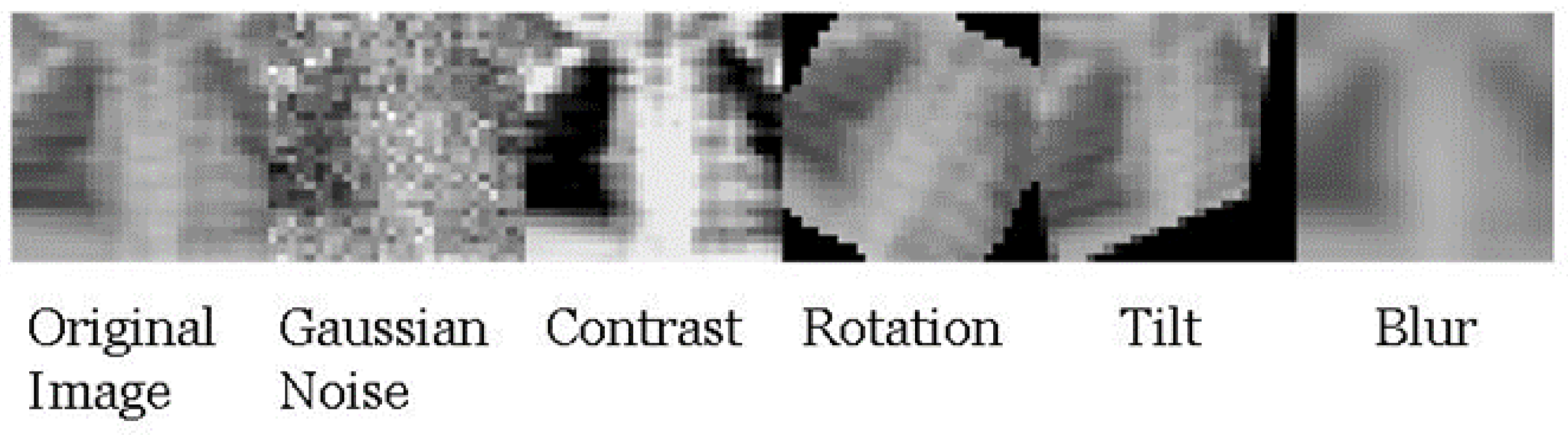 Biomedinformatics 04 00050 g002