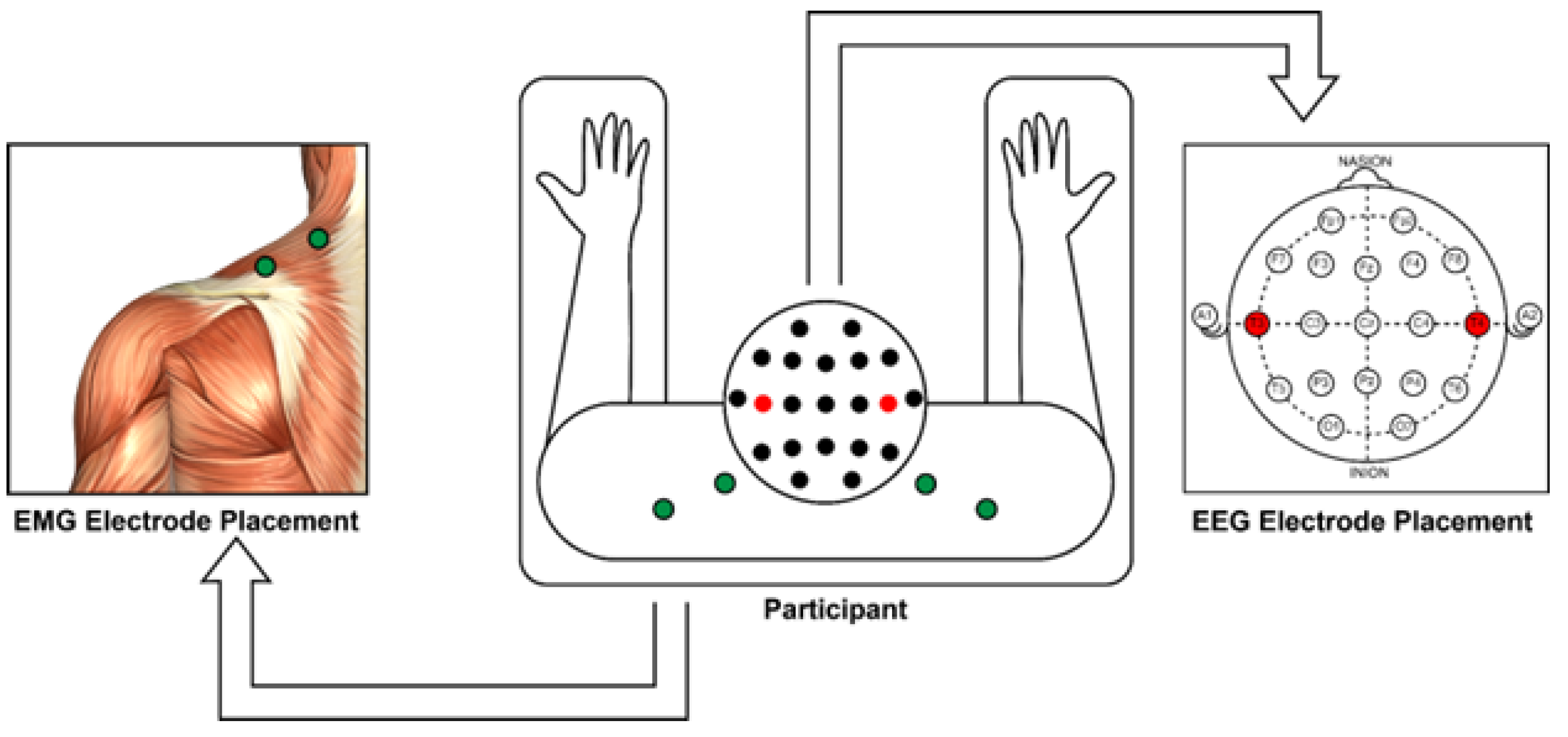 Biomedinformatics 04 00058 g002 Biomedinformatics 04 00058 g002