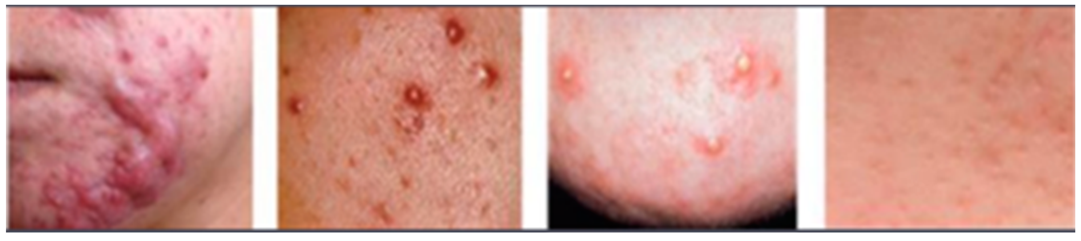 Biomedinformatics 04 00059 g003