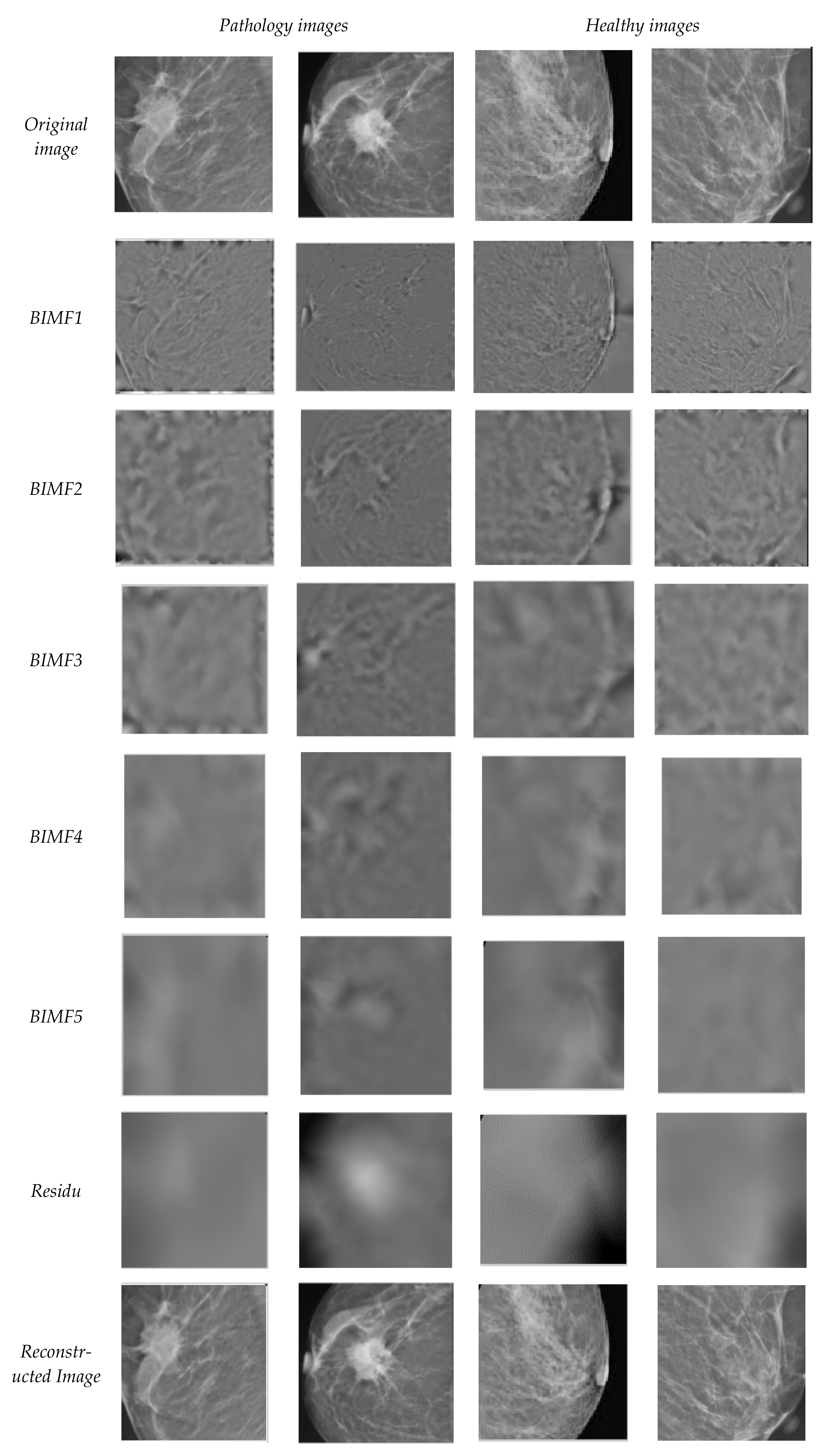 Biomedinformatics 04 00066 g007