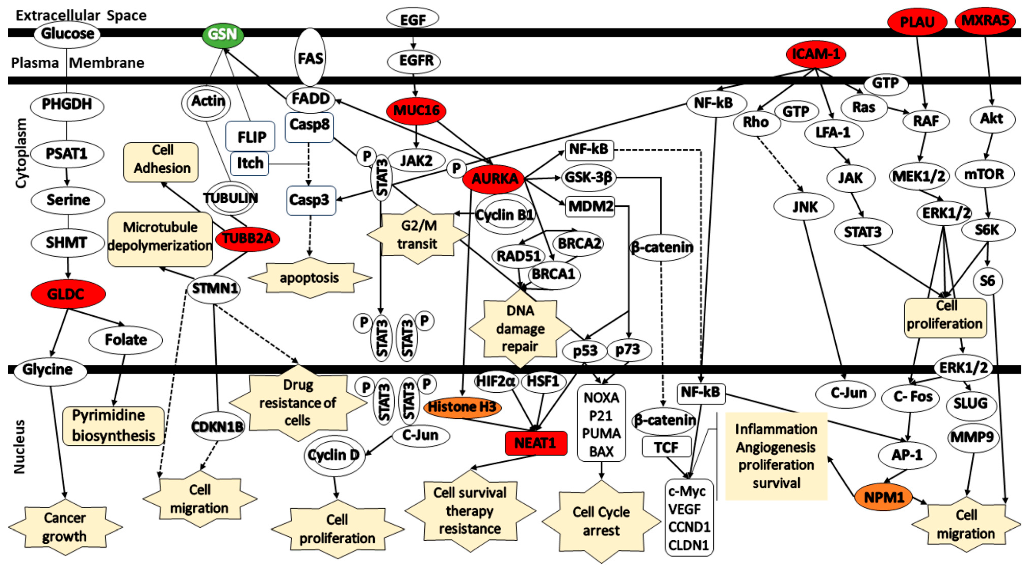 Biomedinformatics 04 00077 g007