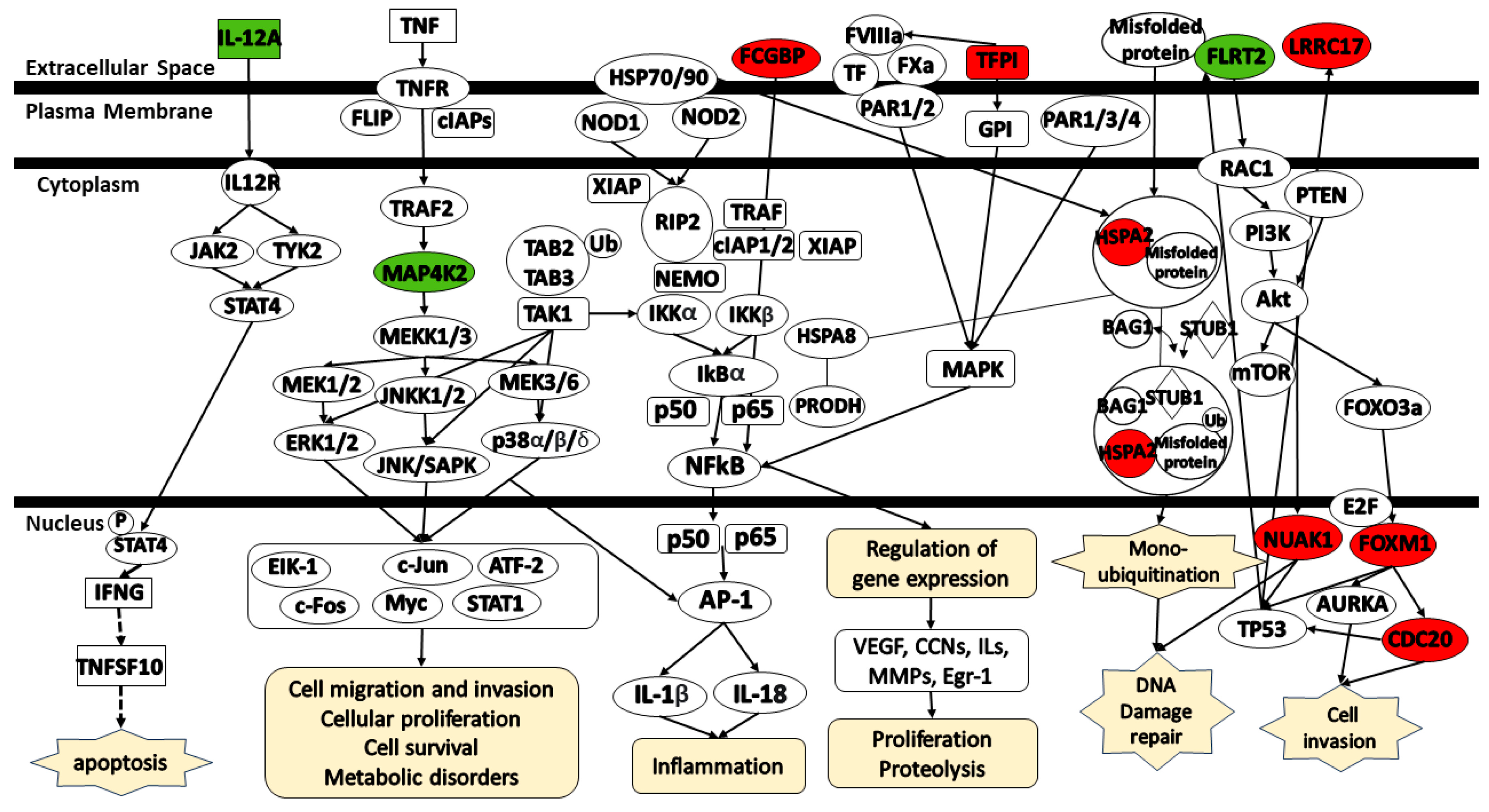 Biomedinformatics 04 00077 g008