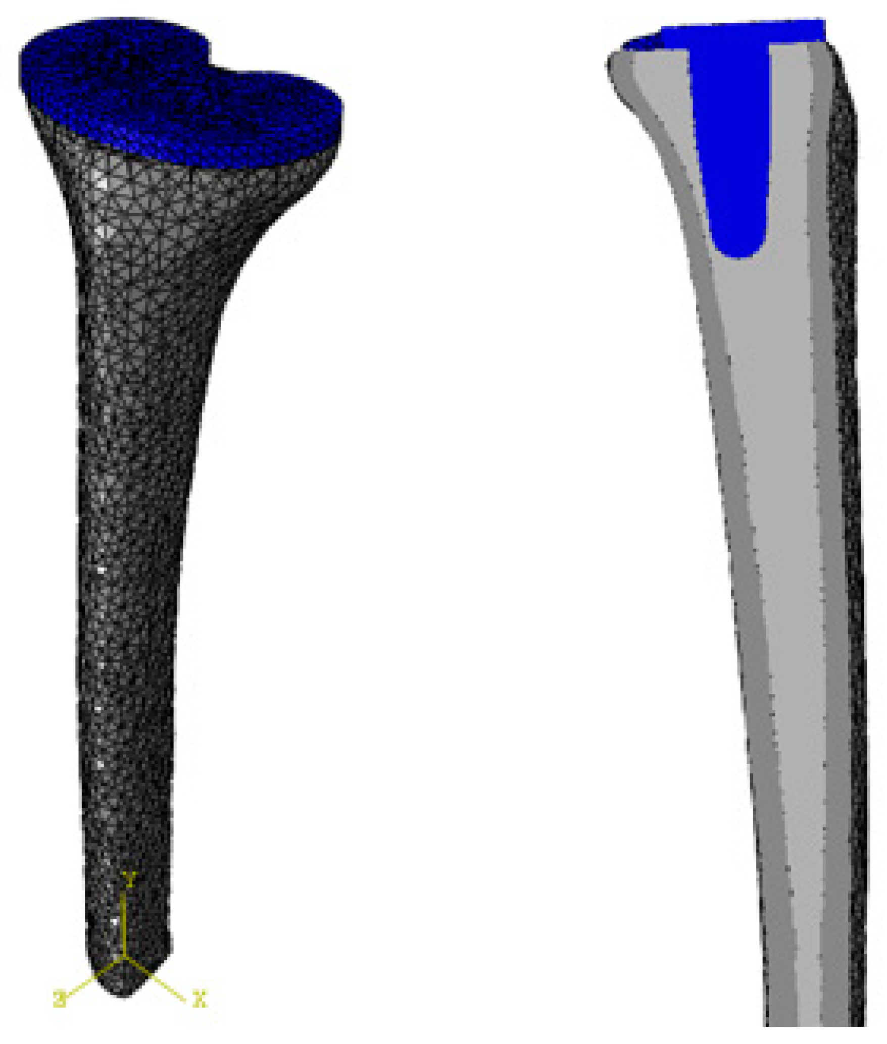 Biomedinformatics 04 00078 g002