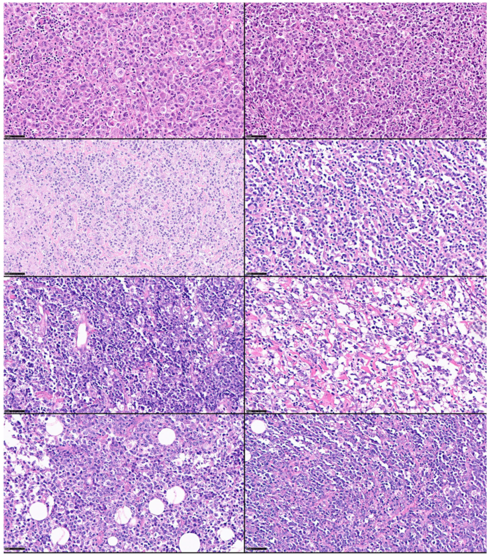 Biomedinformatics 04 00081 g001