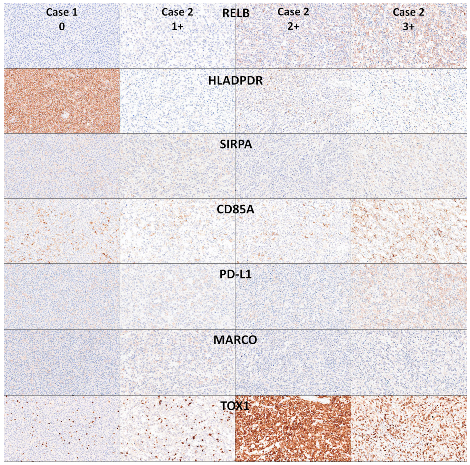 Biomedinformatics 04 00081 g010