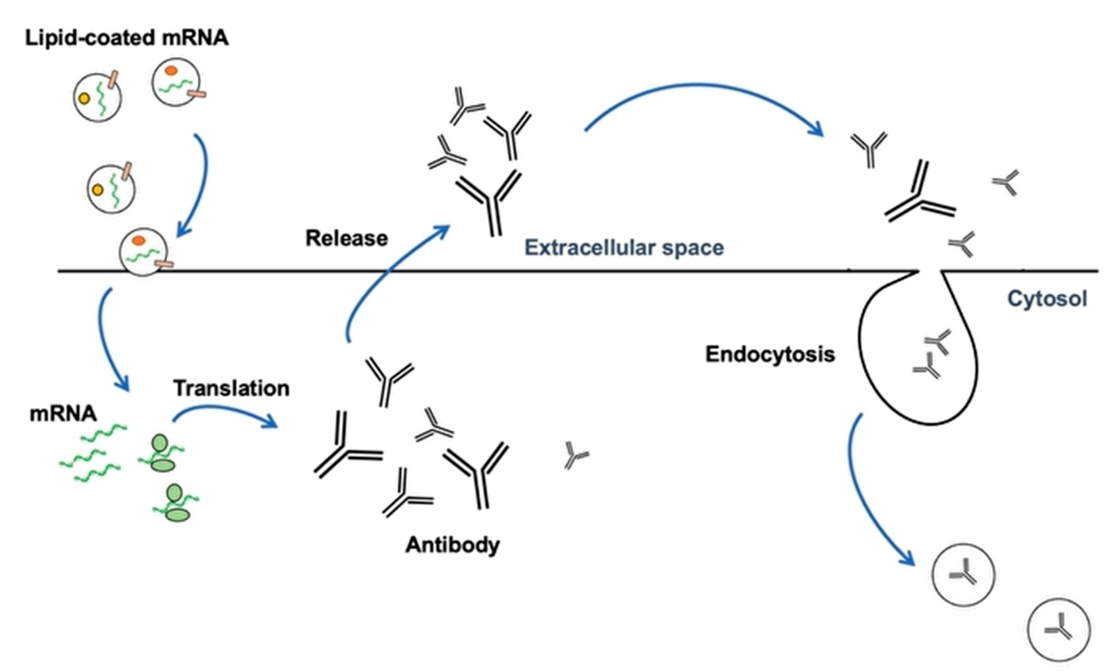 Biomedinformatics 04 00084 g002