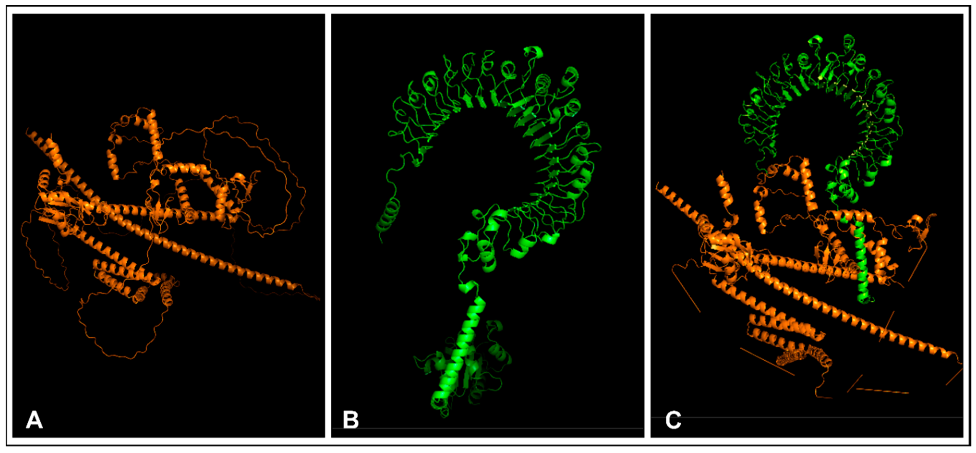 Biomedinformatics 04 00086 g008