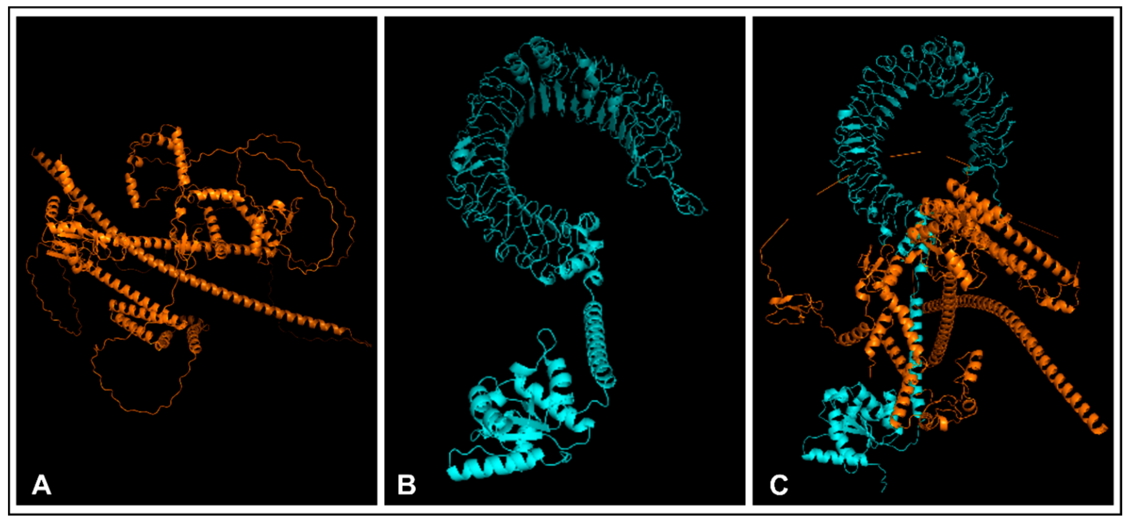 Biomedinformatics 04 00086 g009