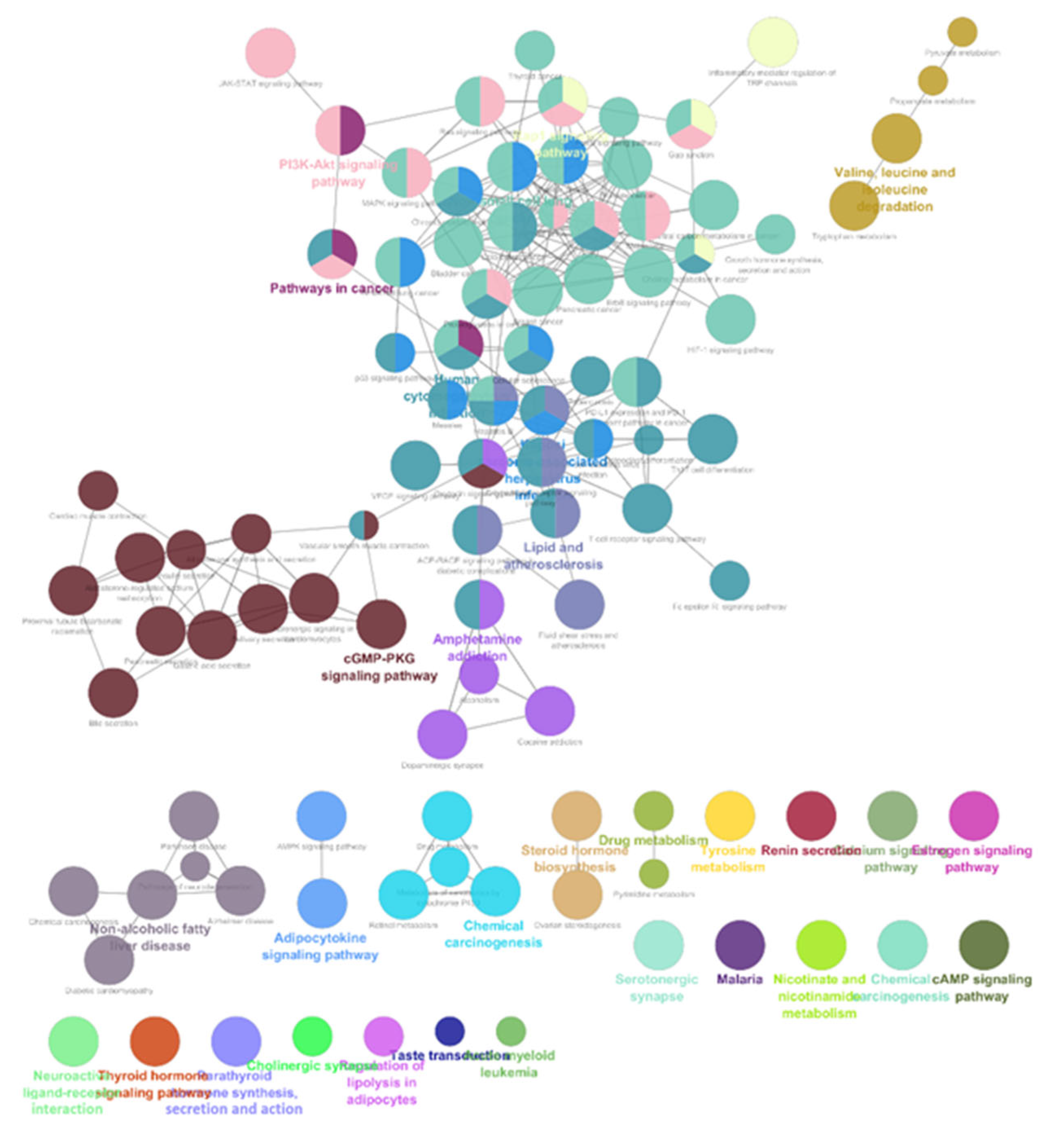 Biomedinformatics 04 00093 g009