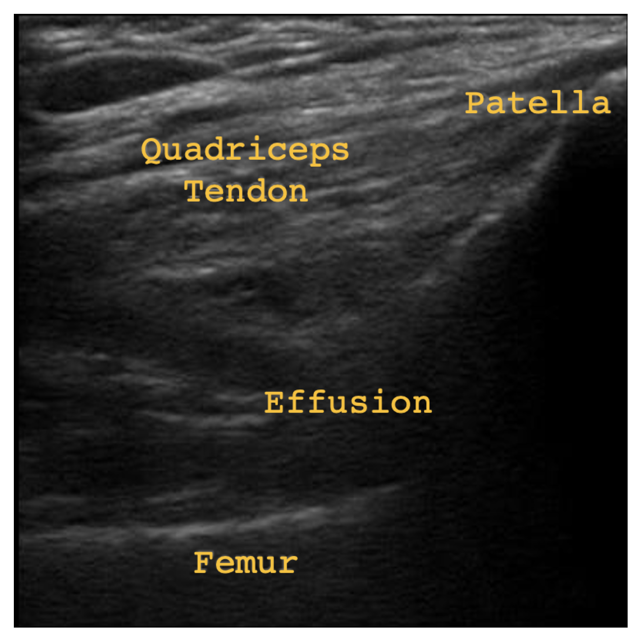 Biomedinformatics 04 00106 g001