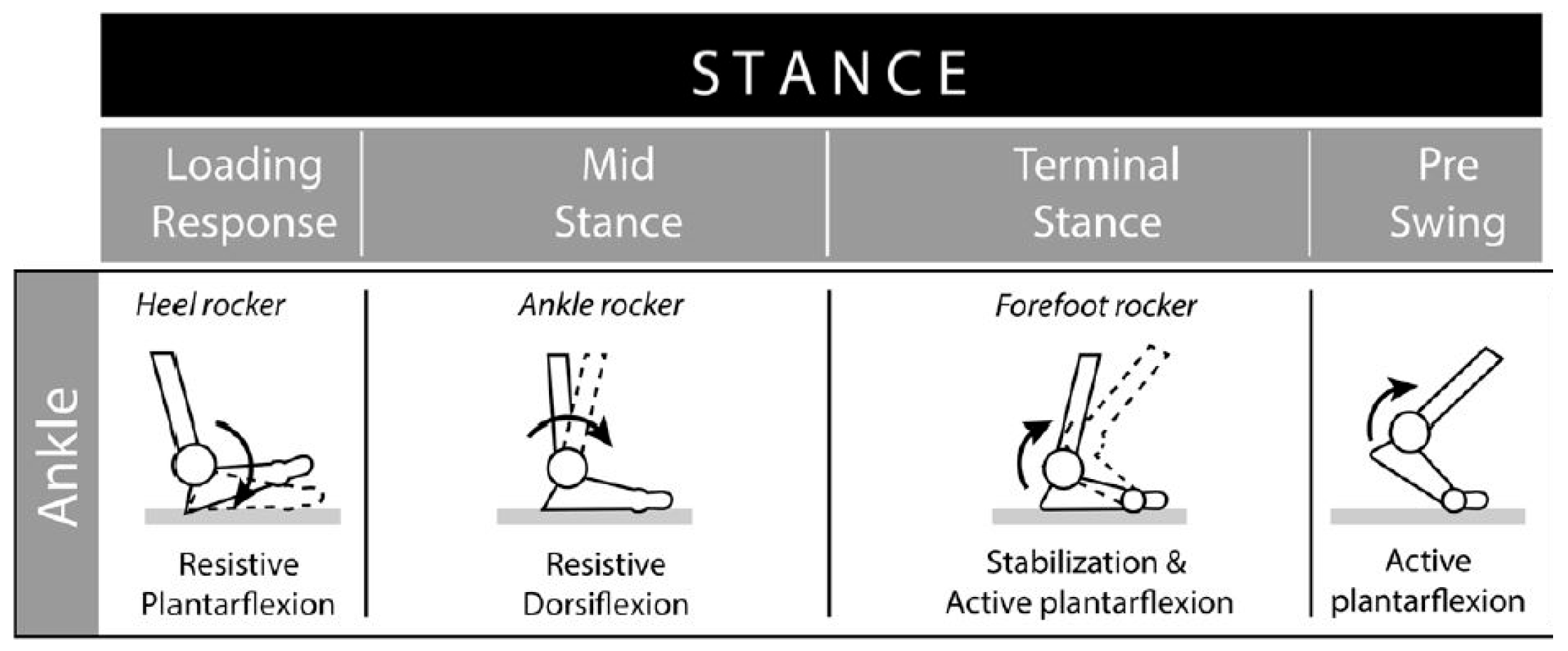 Biomedinformatics 04 00107 g003