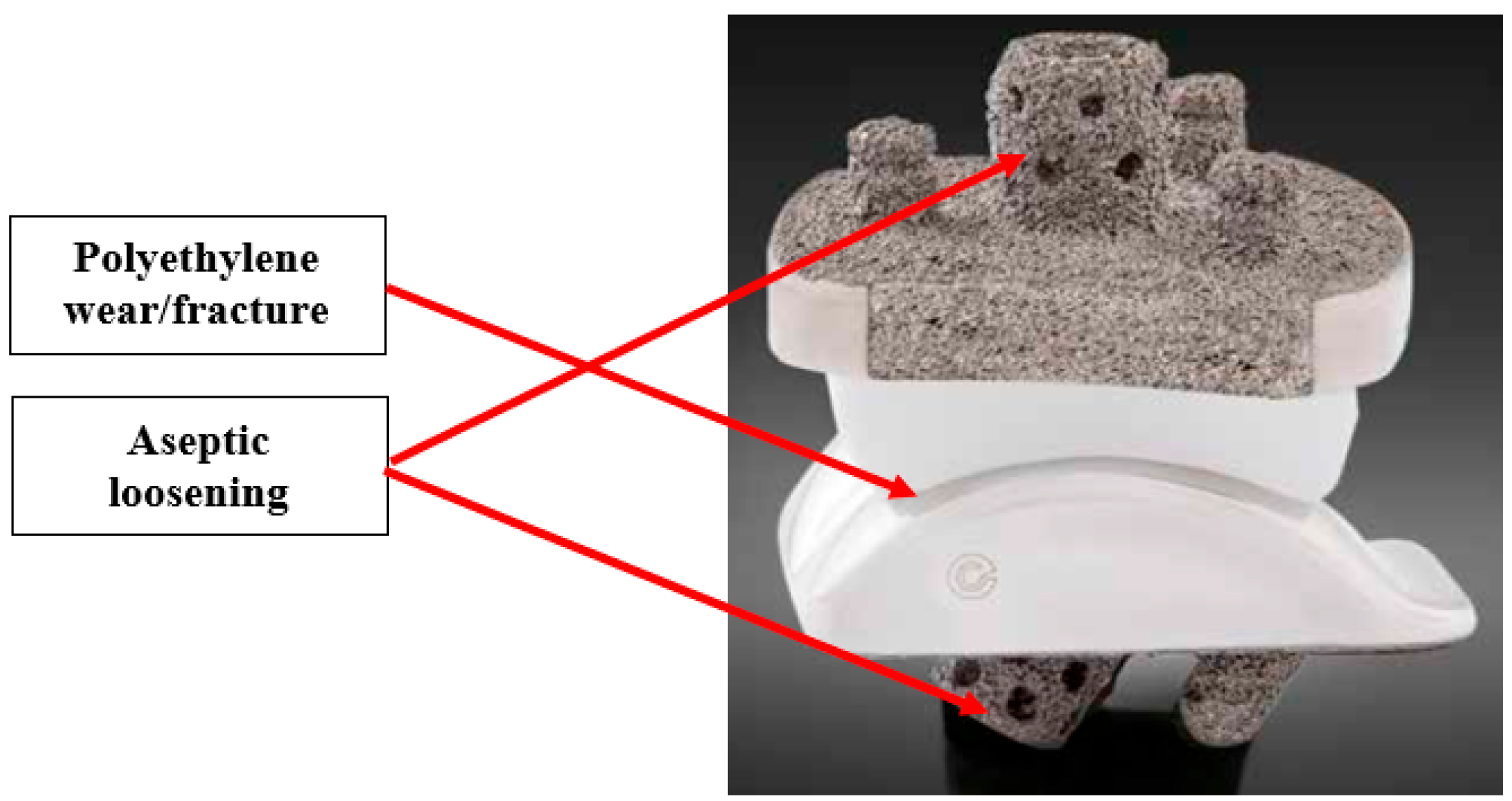 Biomedinformatics 04 00107 g006