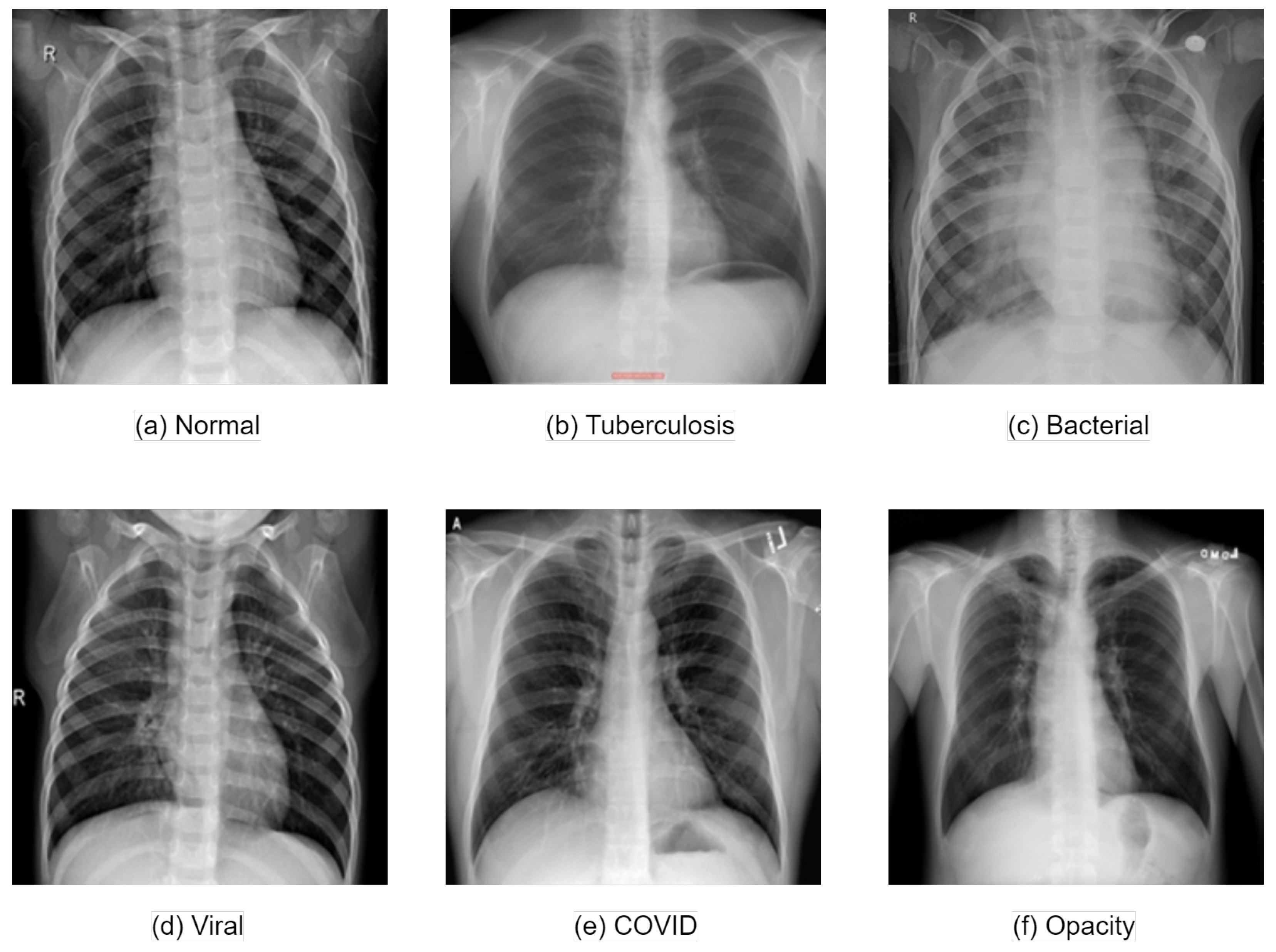 Biomedinformatics 04 00109 g001