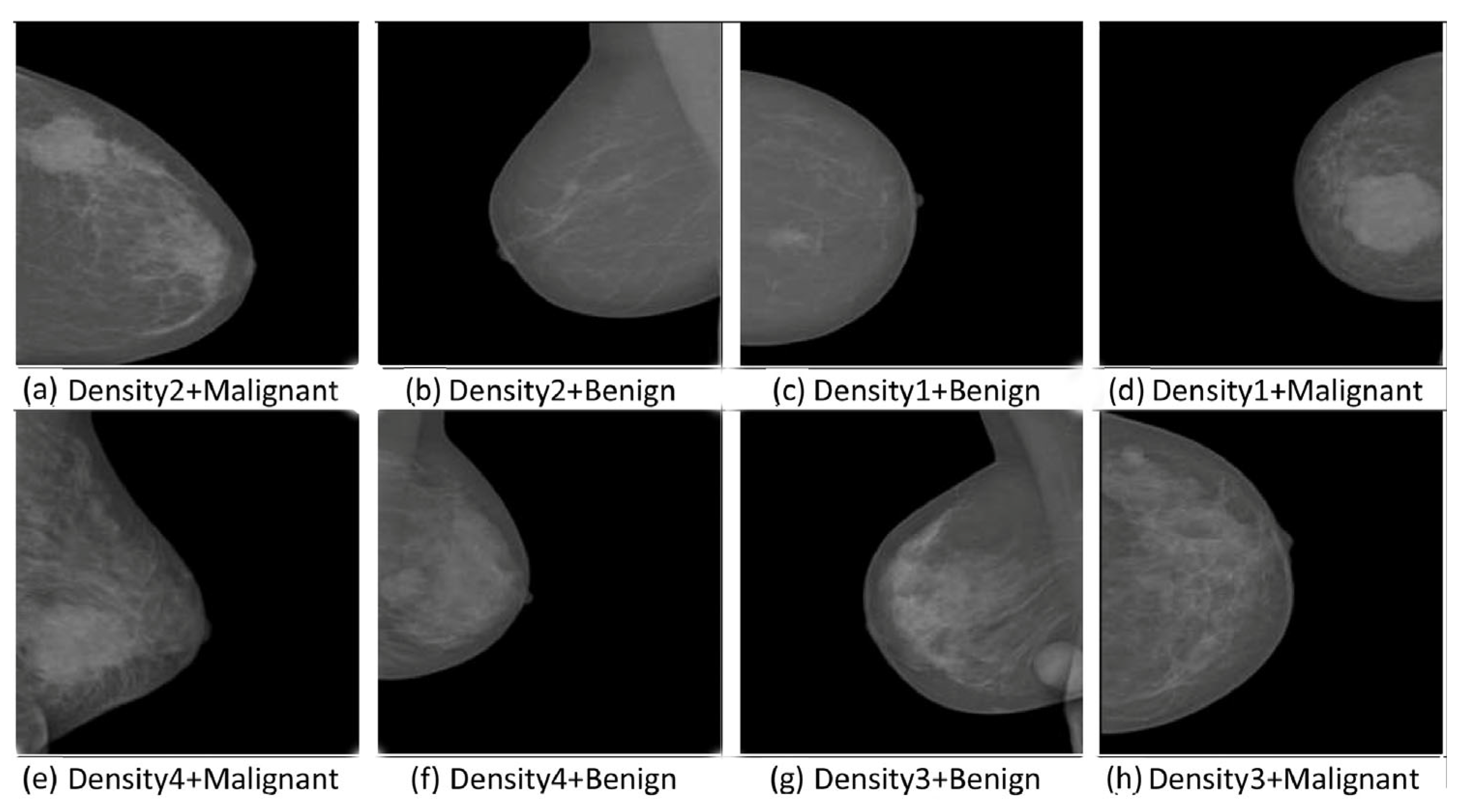 Biomedinformatics 04 00127 g002