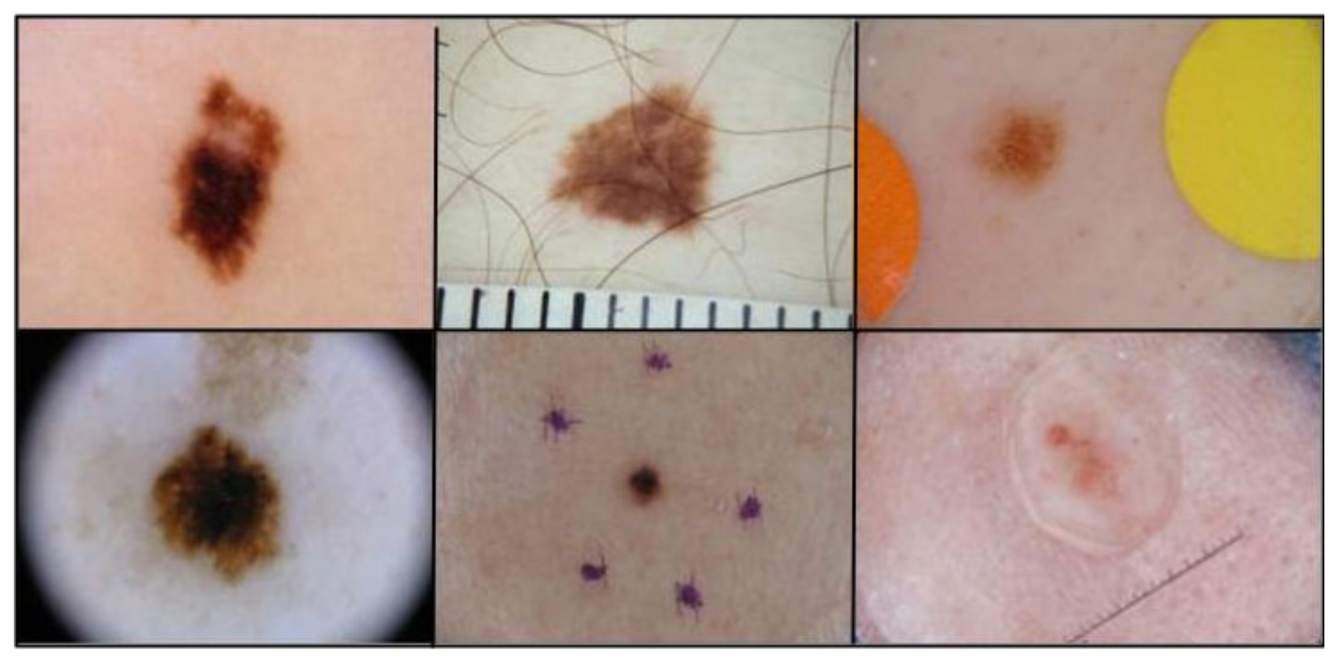 Biomedinformatics 05 00010 g005