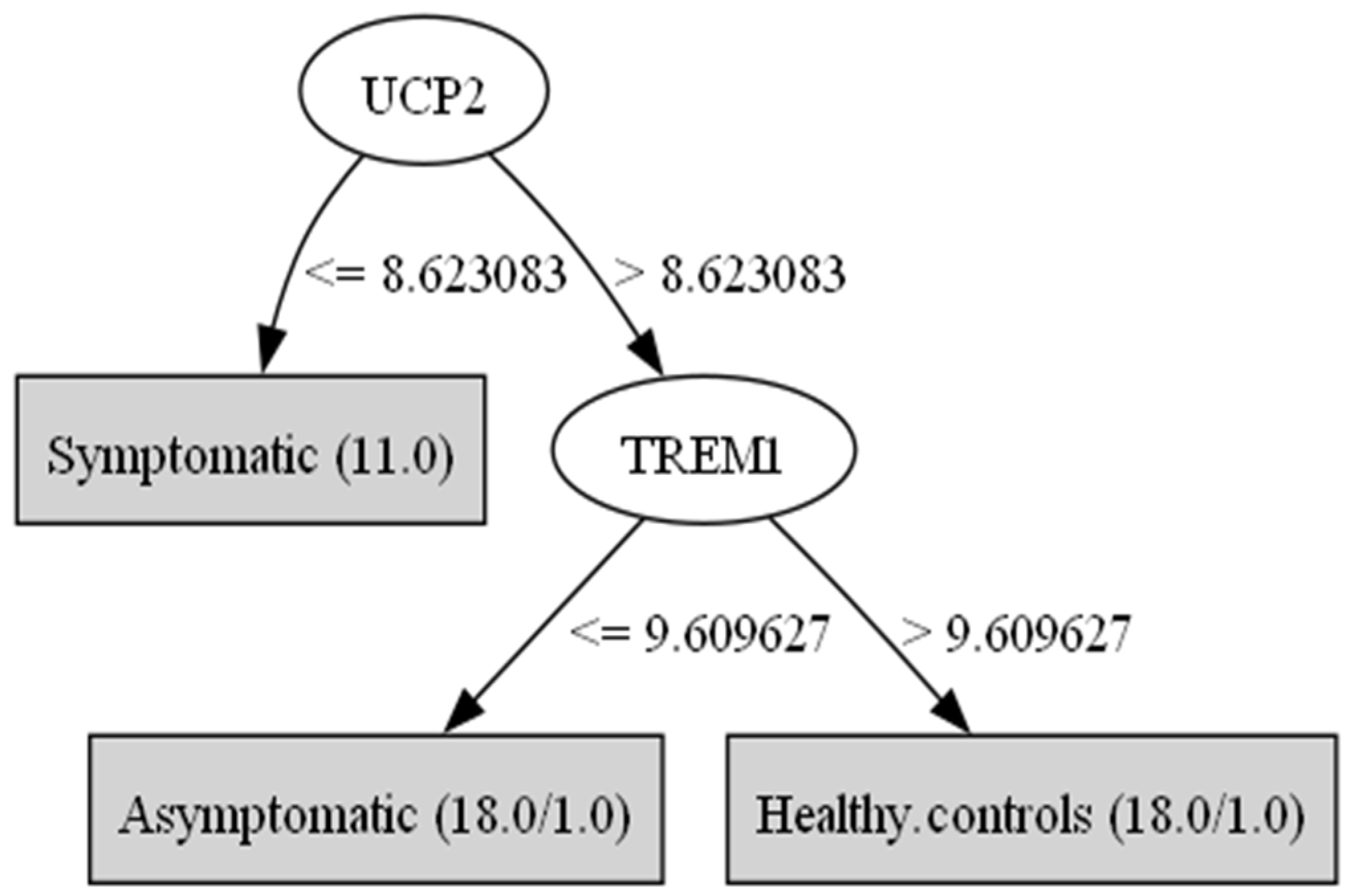 Biomedinformatics 05 00026 g003 Biomedinformatics 05 00026 g003