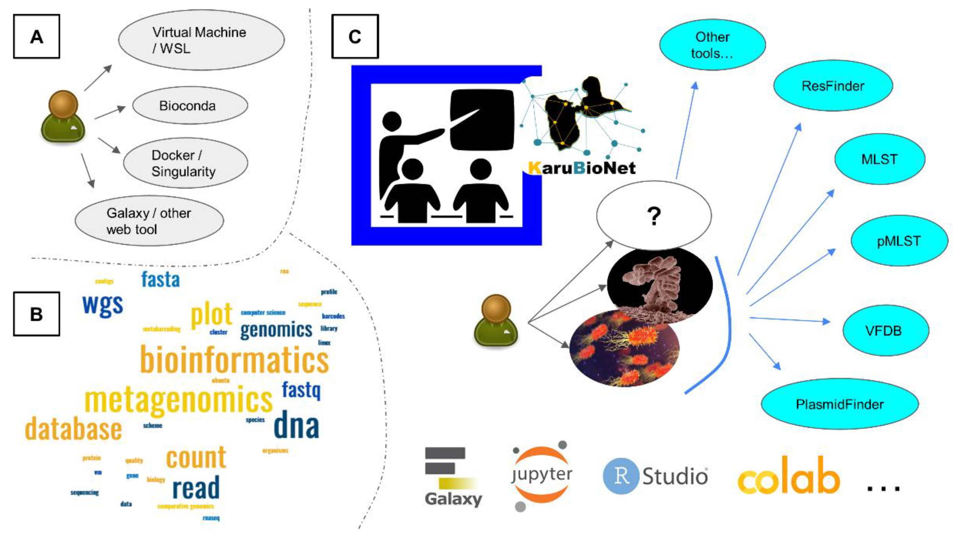 Biomedinformatics 05 00027 g001 Biomedinformatics 05 00027 g001