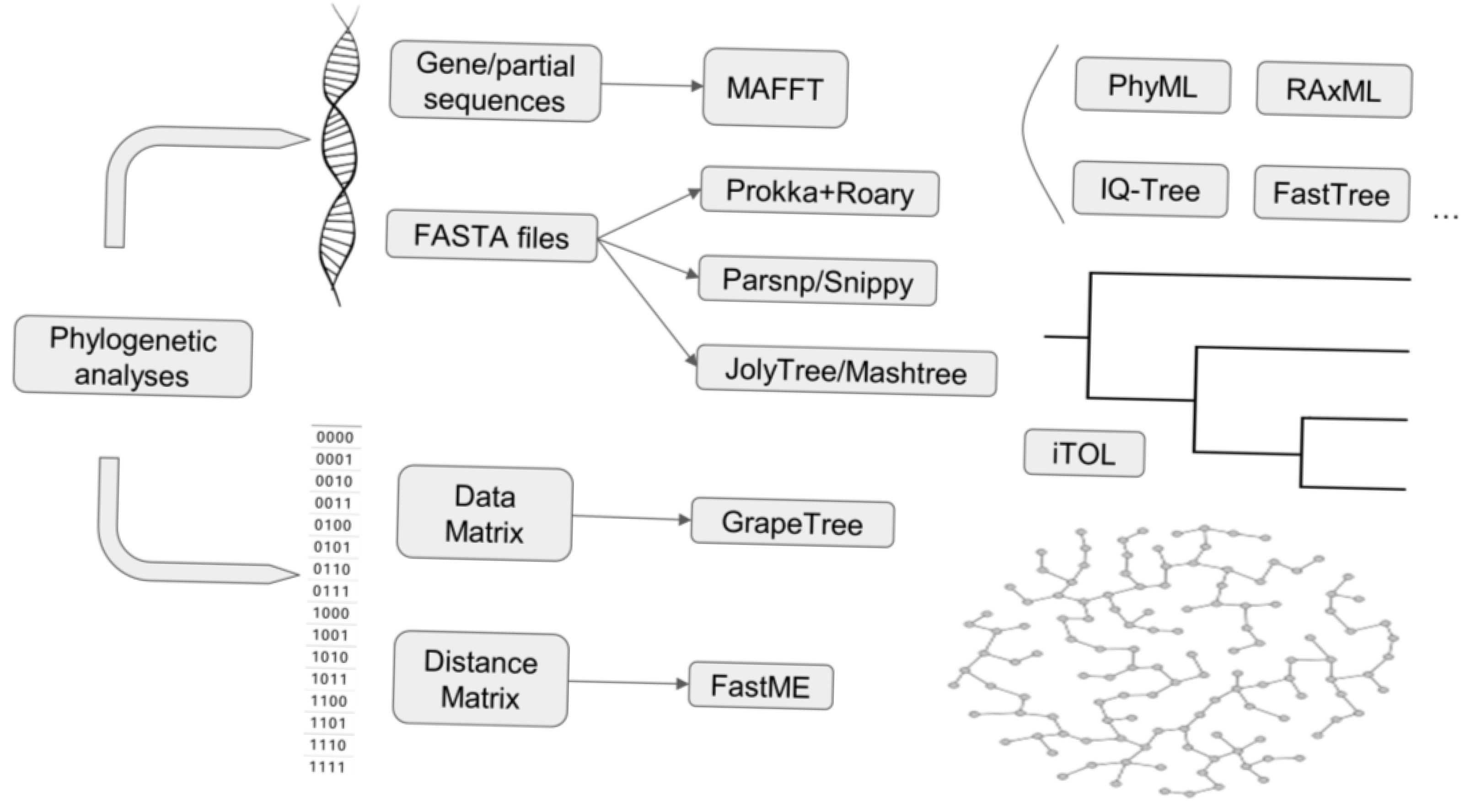 Biomedinformatics 05 00027 g005 Biomedinformatics 05 00027 g005