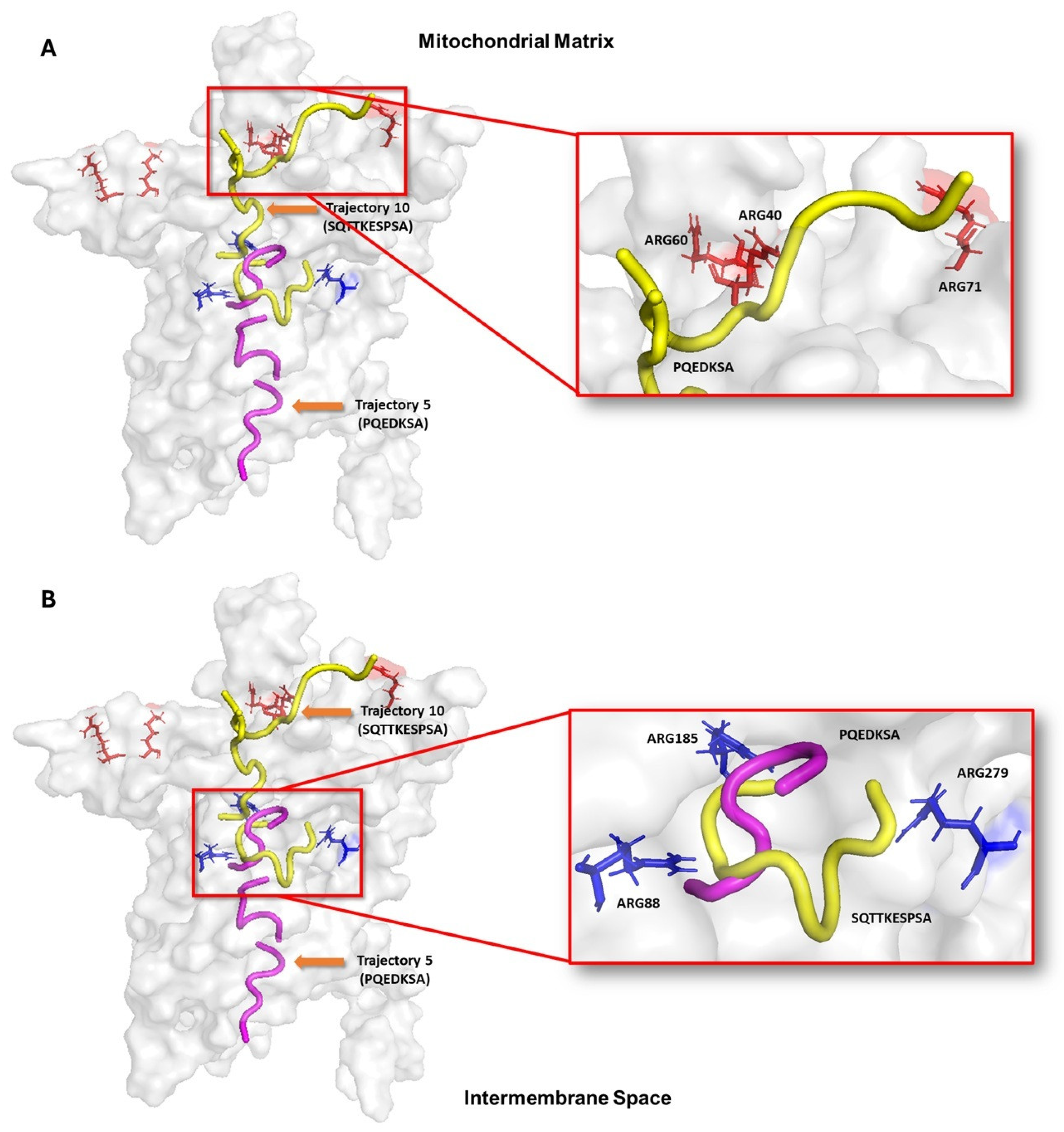 Biomedinformatics 05 00029 g004