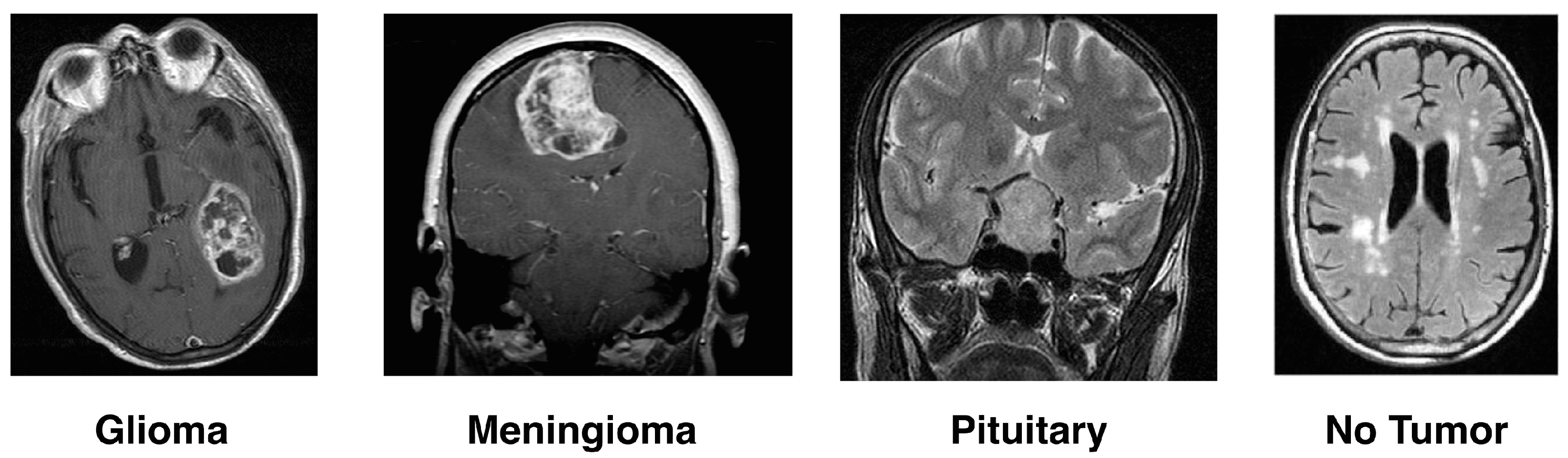 Biomedinformatics 05 00030 g001