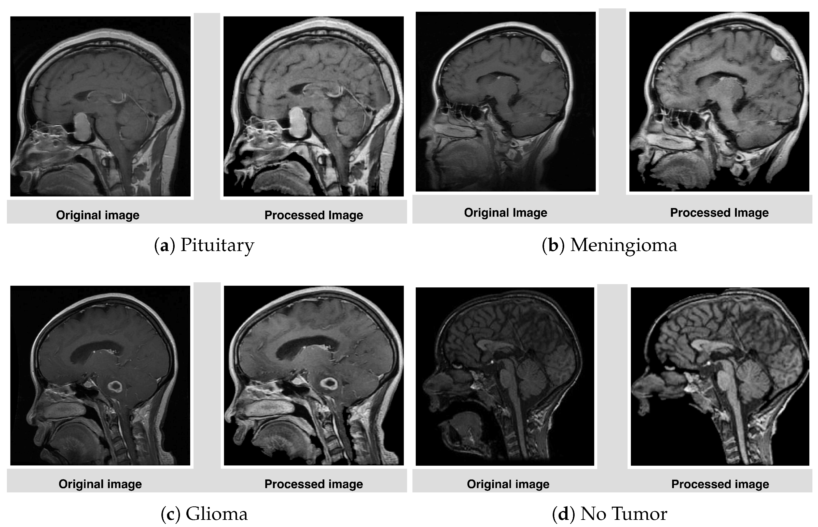 Biomedinformatics 05 00030 g003
