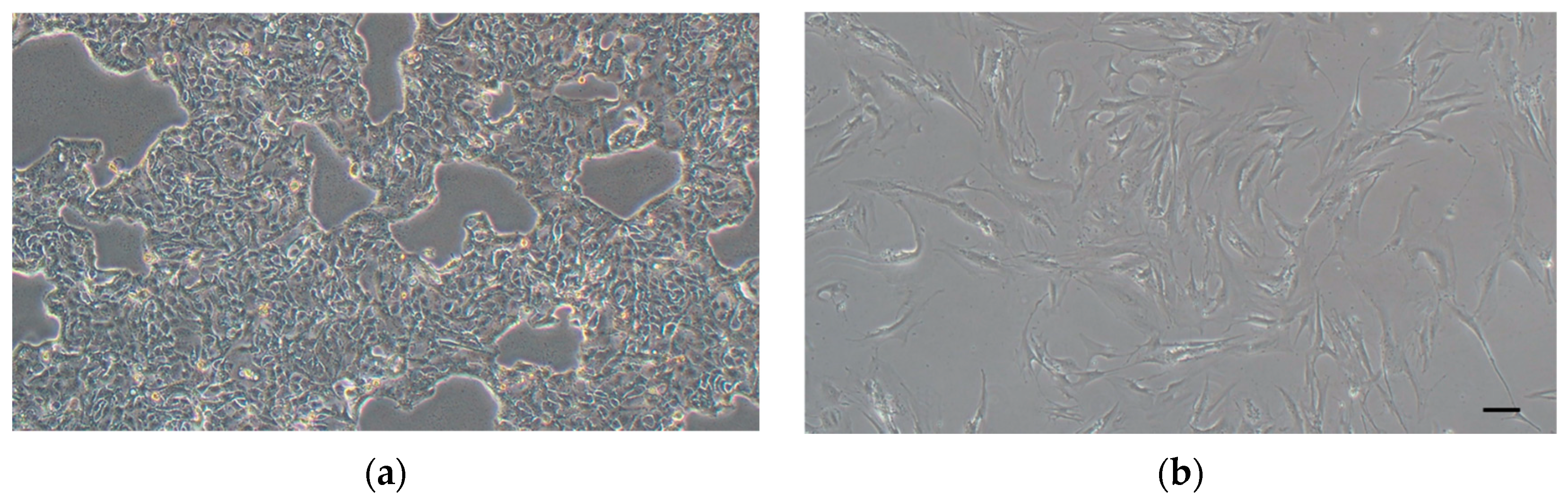 Biomedinformatics 05 00032 g004