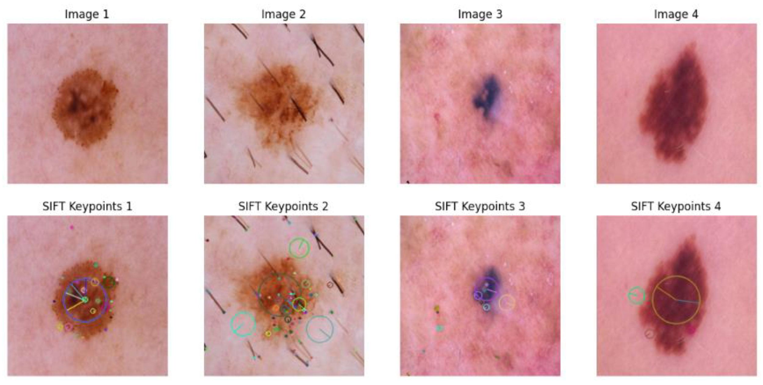 Biomedinformatics 05 00041 g004