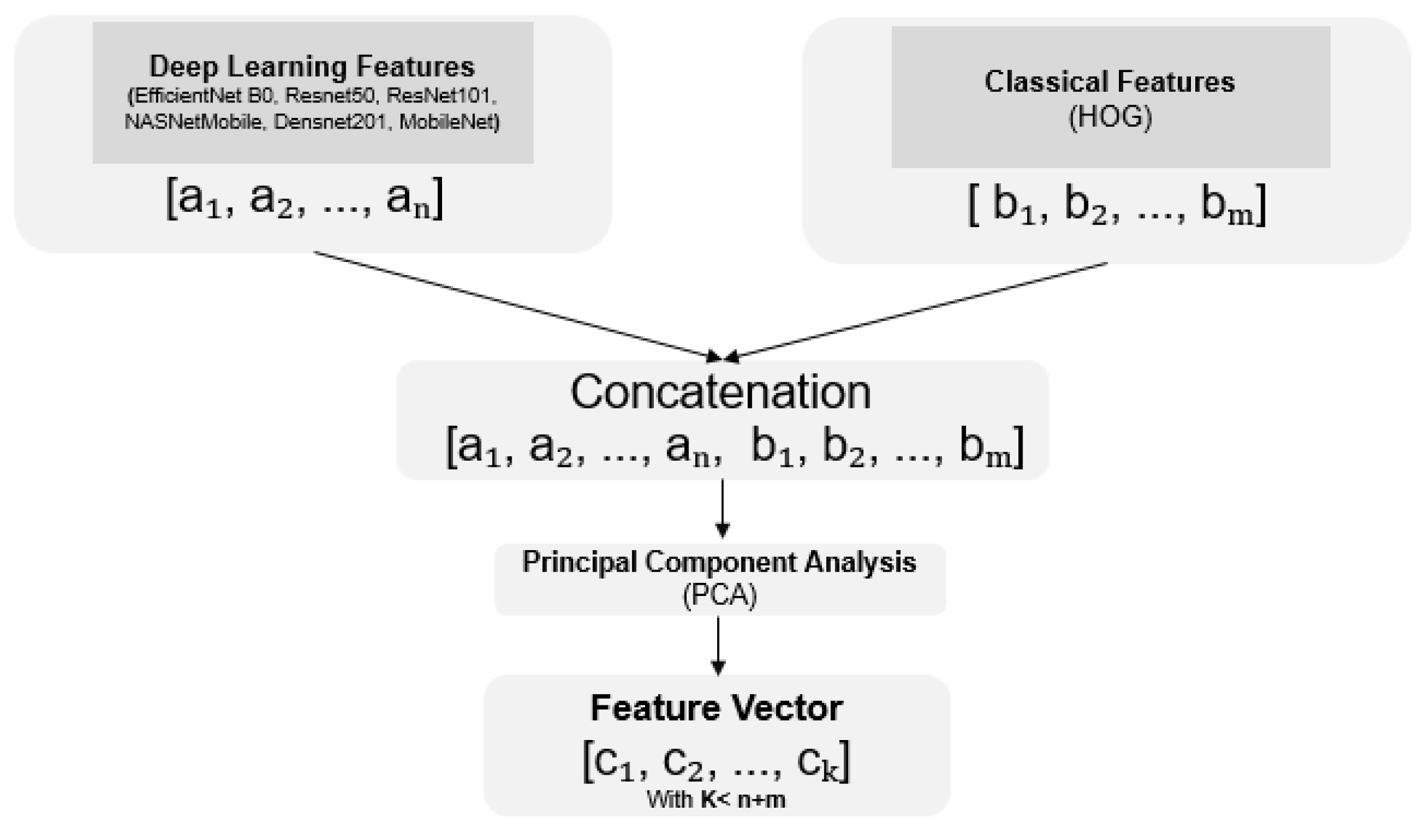 Biomedinformatics 05 00041 g006