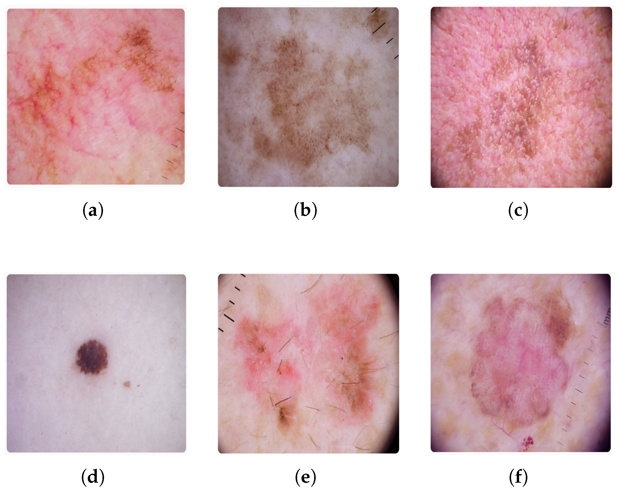 Biomedinformatics 05 00043 g007