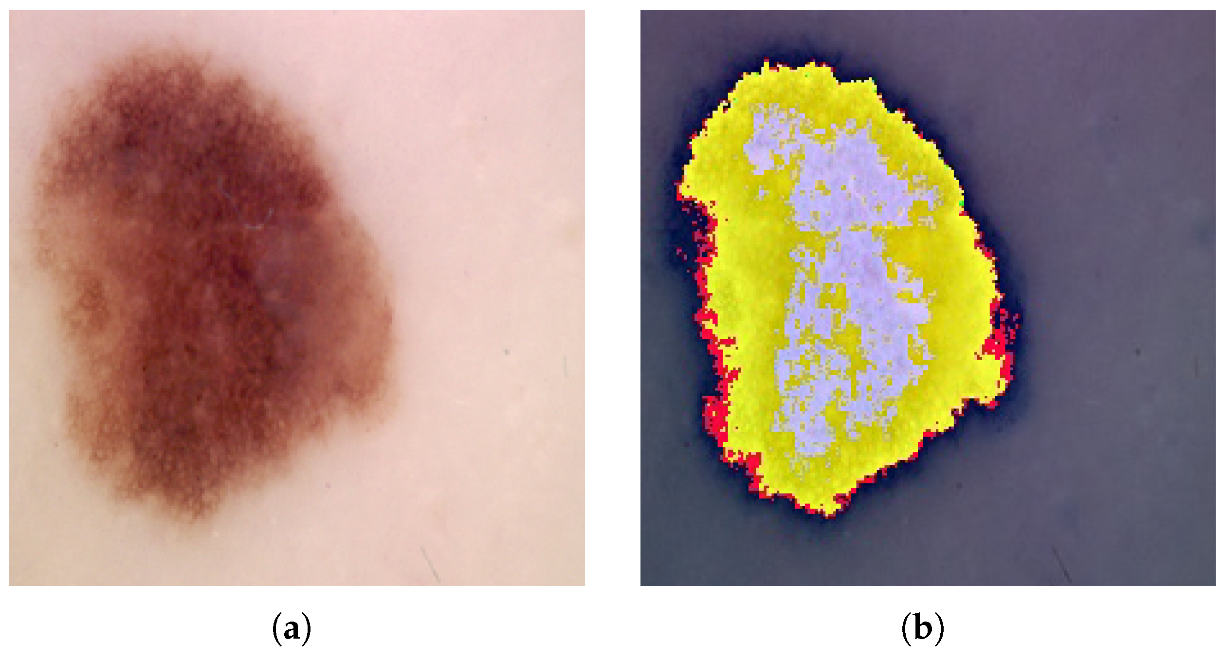 Biomedinformatics 05 00043 g008