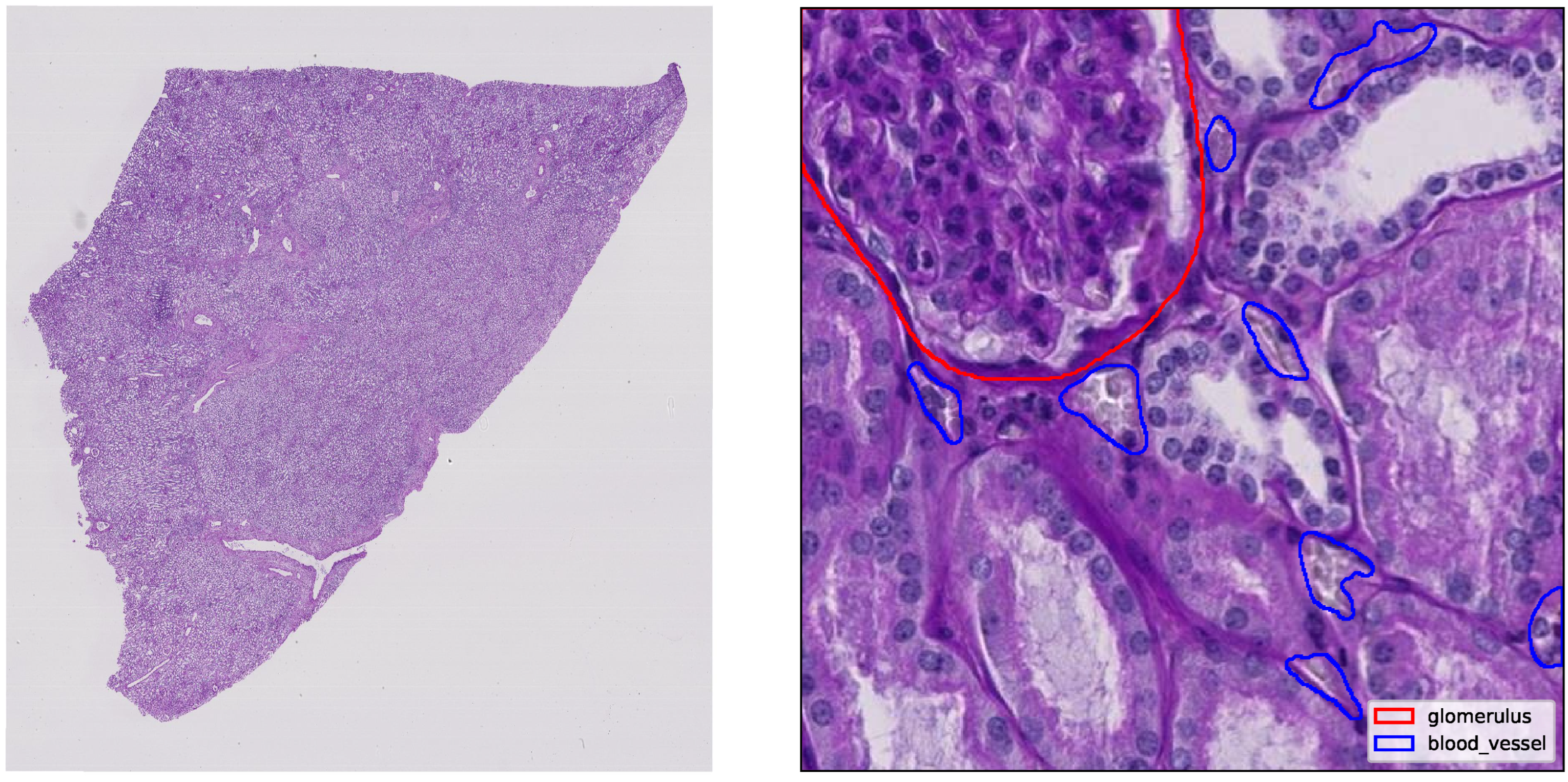 Biomedinformatics 05 00044 g001