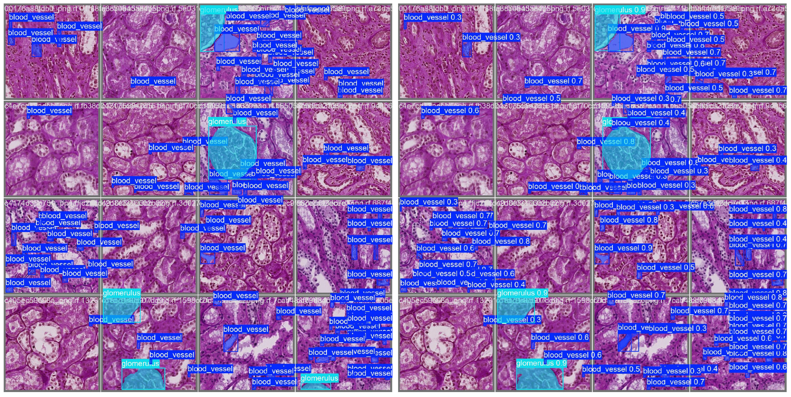 Biomedinformatics 05 00044 g004