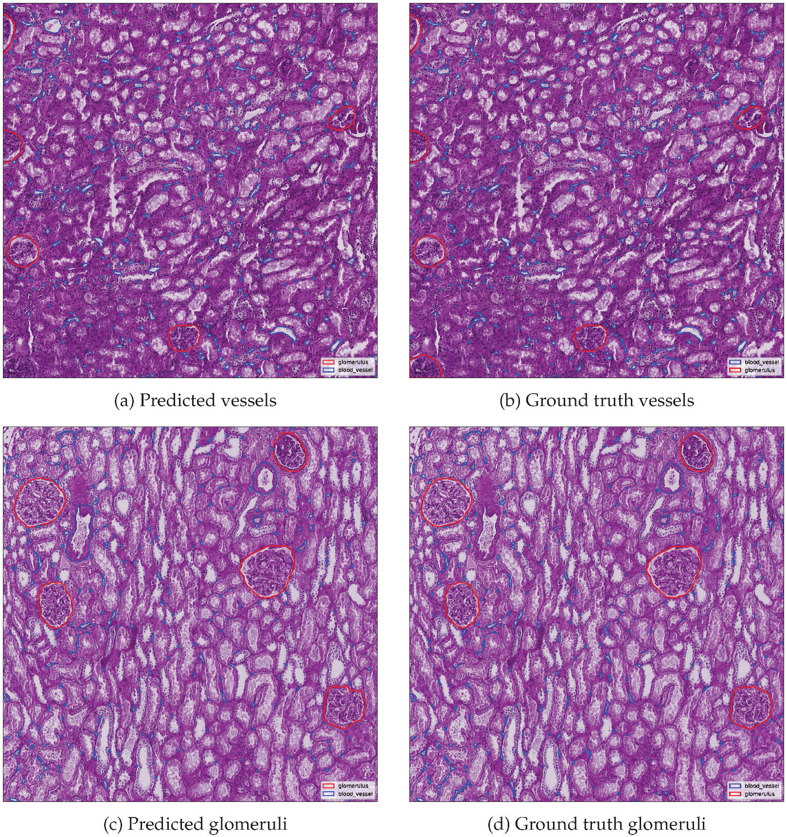 Biomedinformatics 05 00044 g010