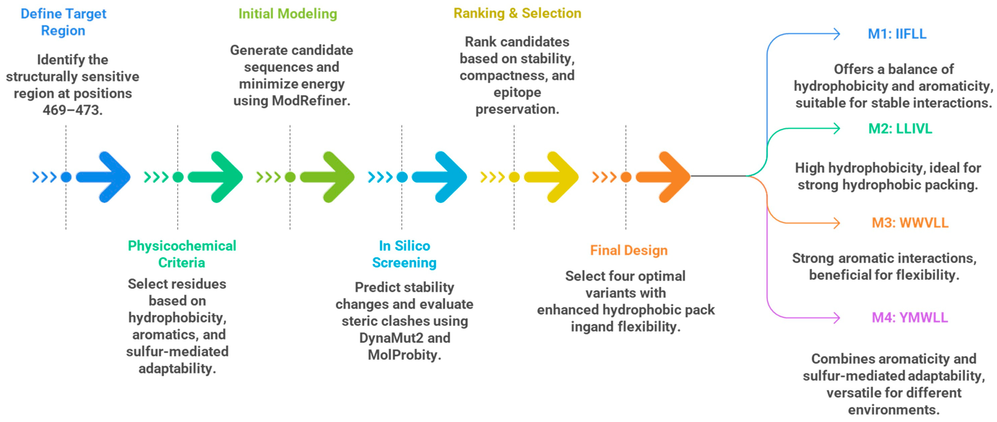 Biomedinformatics 05 00047 g004 Biomedinformatics 05 00047 g004