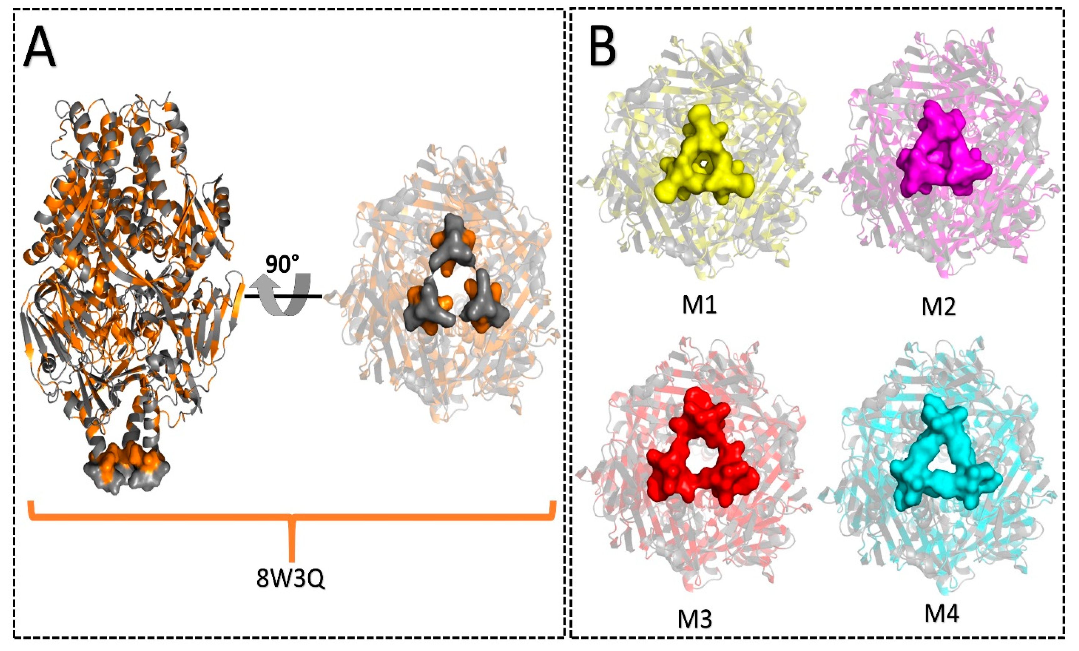 Biomedinformatics 05 00047 g005 Biomedinformatics 05 00047 g005