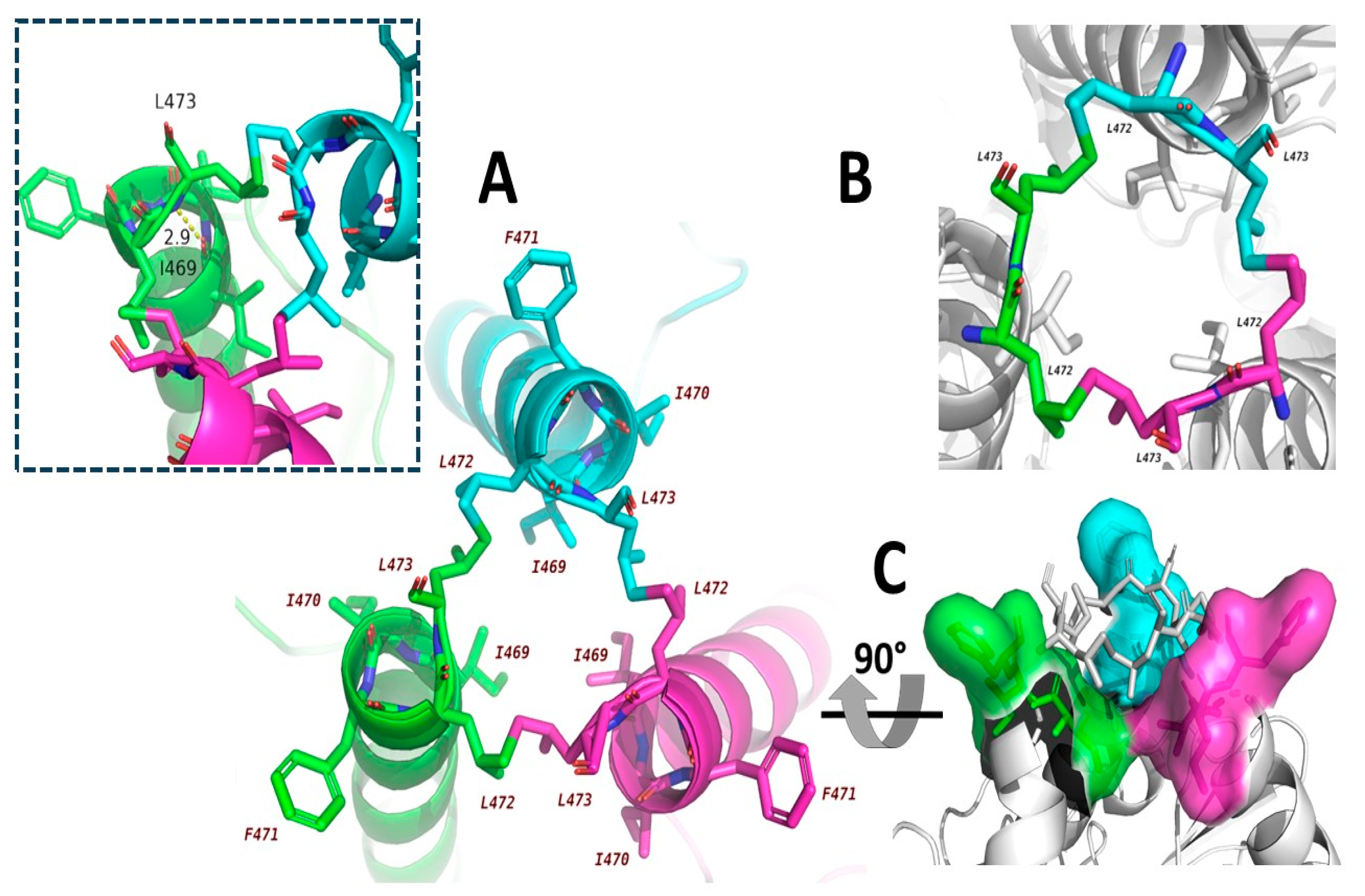 Biomedinformatics 05 00047 g009 Biomedinformatics 05 00047 g009