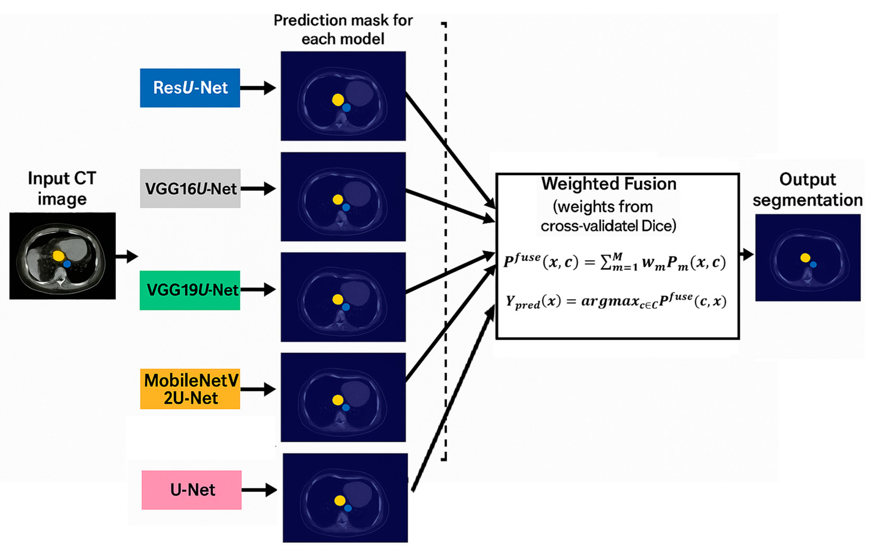 Biomedinformatics 05 00053 g004 Biomedinformatics 05 00053 g004