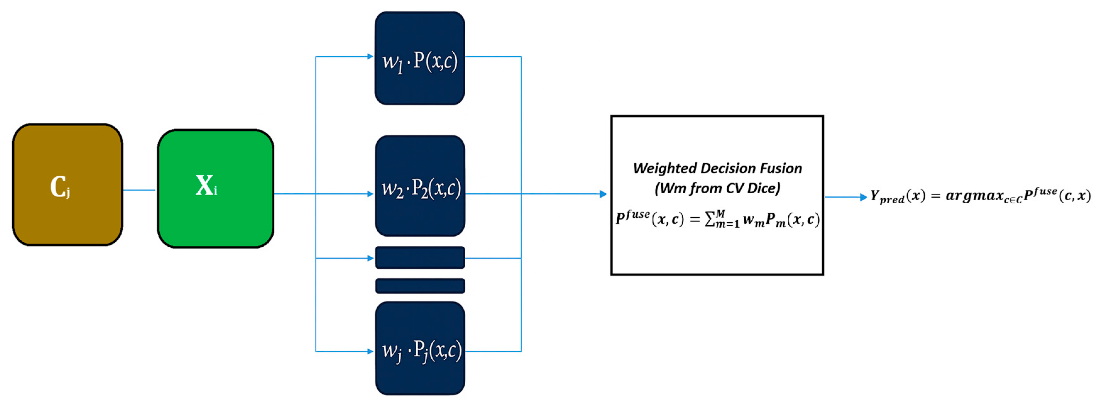 Biomedinformatics 05 00053 g005 Biomedinformatics 05 00053 g005