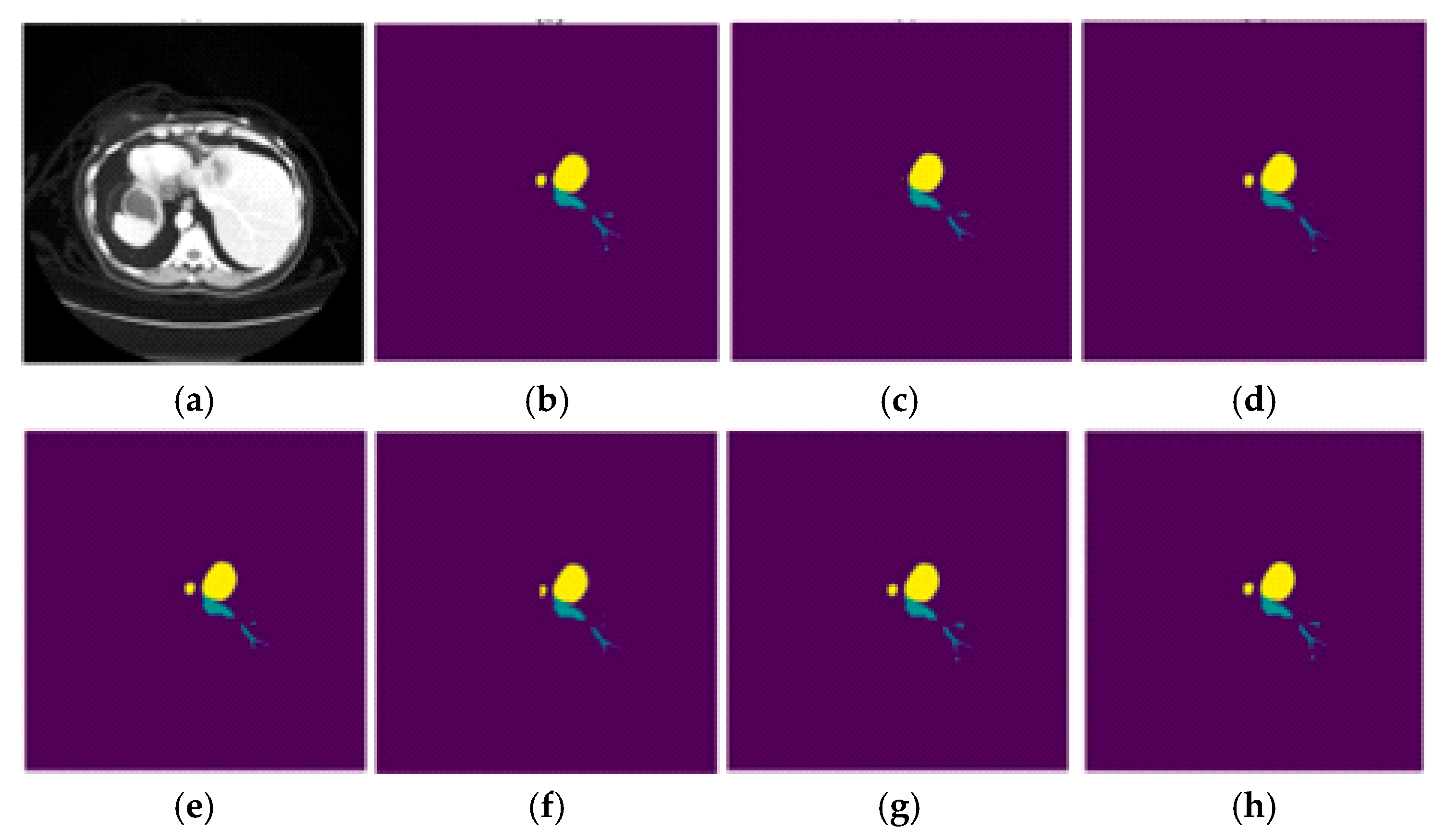 Biomedinformatics 05 00053 g012 Biomedinformatics 05 00053 g012