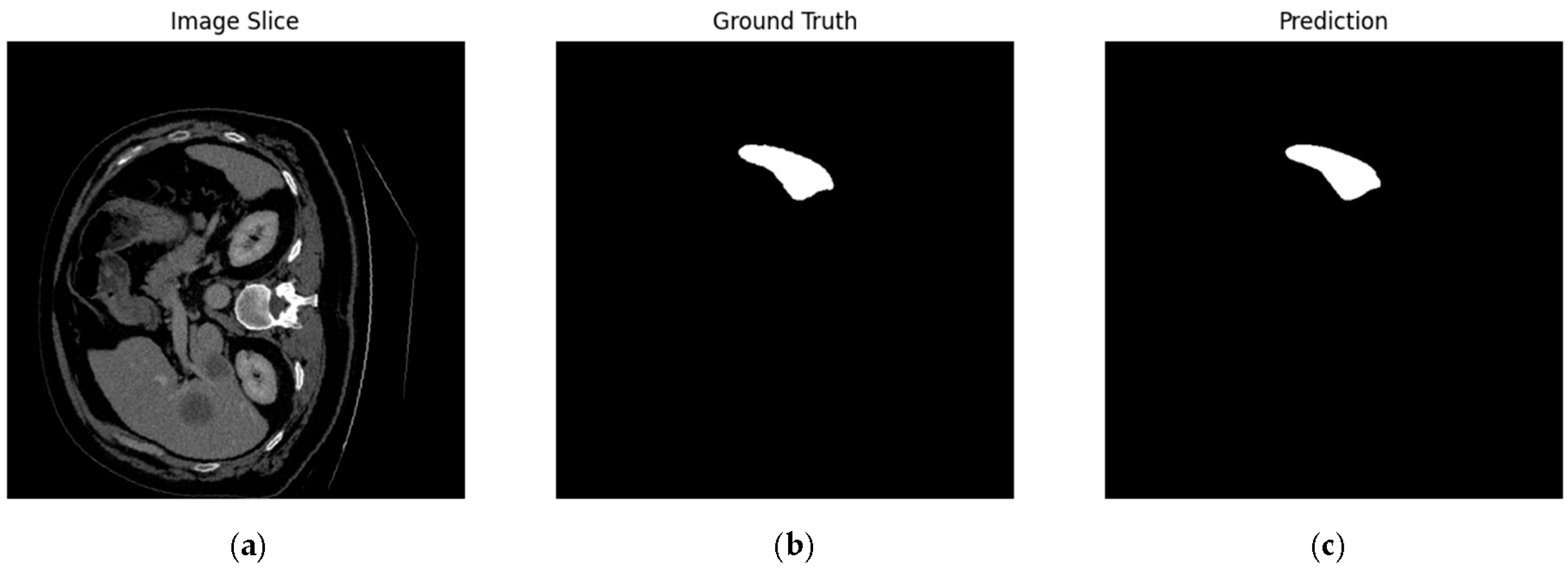 Biomedinformatics 05 00056 g006 Biomedinformatics 05 00056 g006